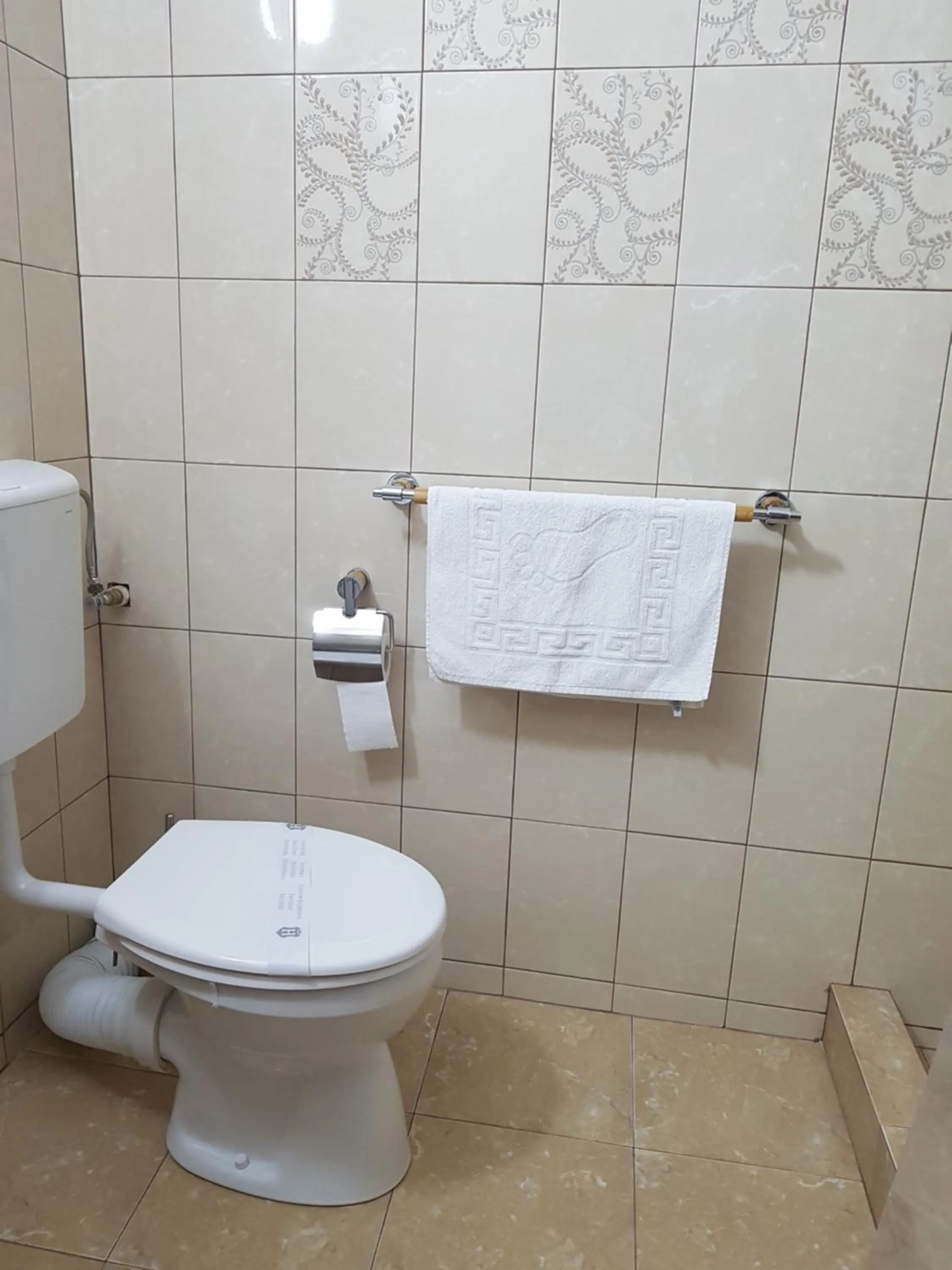 Toilet in Hotel Dacor