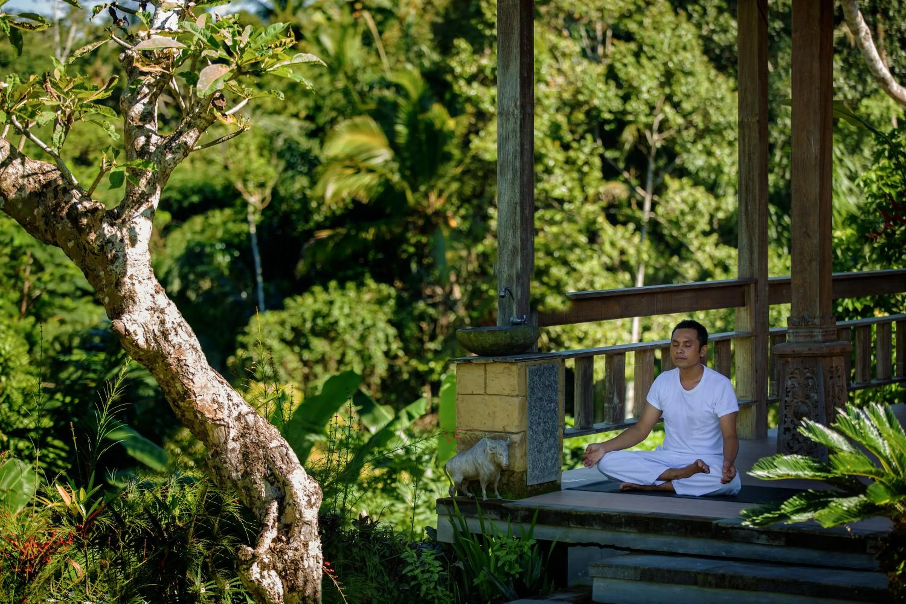 Activities in Pondok Sebatu Villa