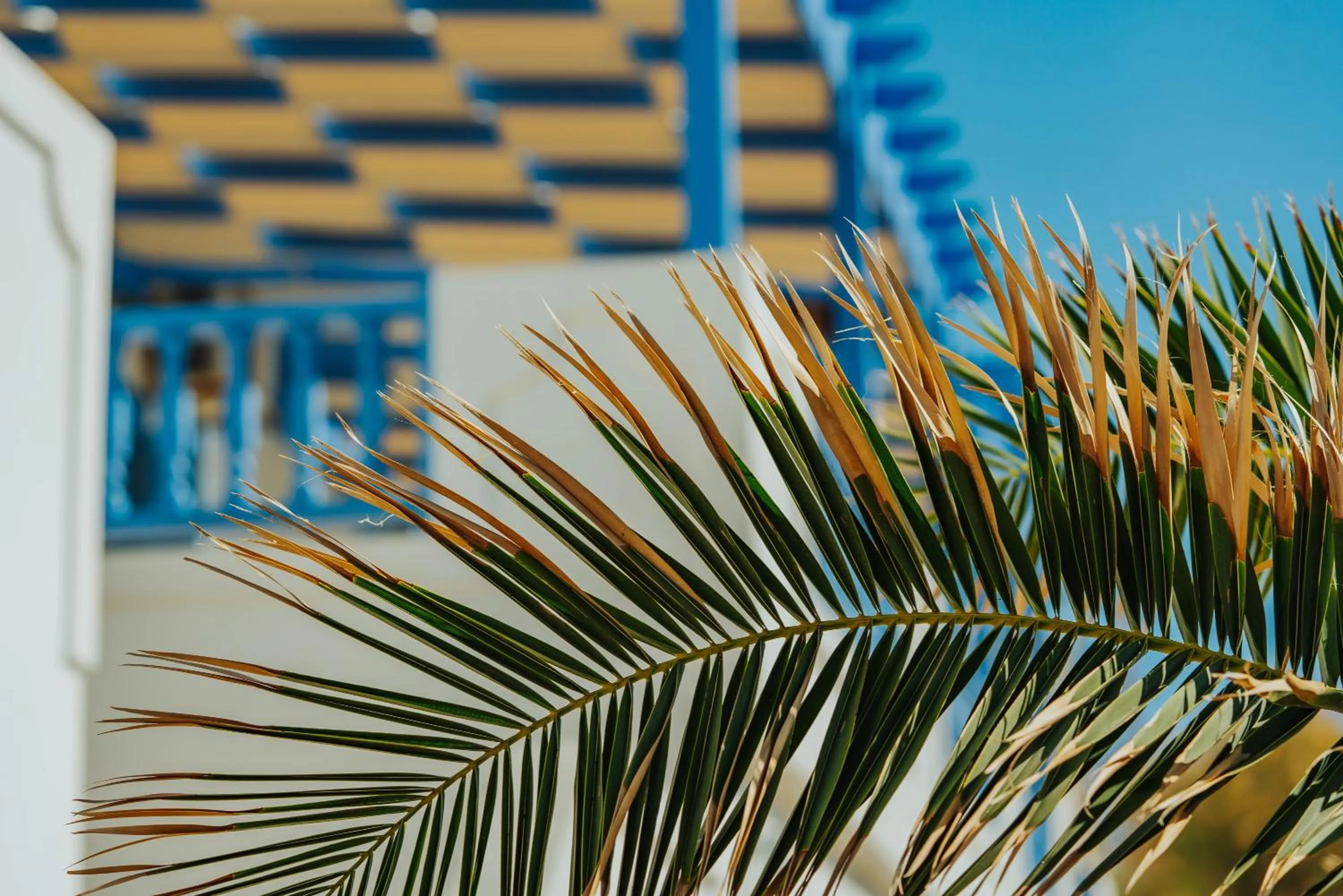 Decorative detail in Vithos Seaside Aparthotel
