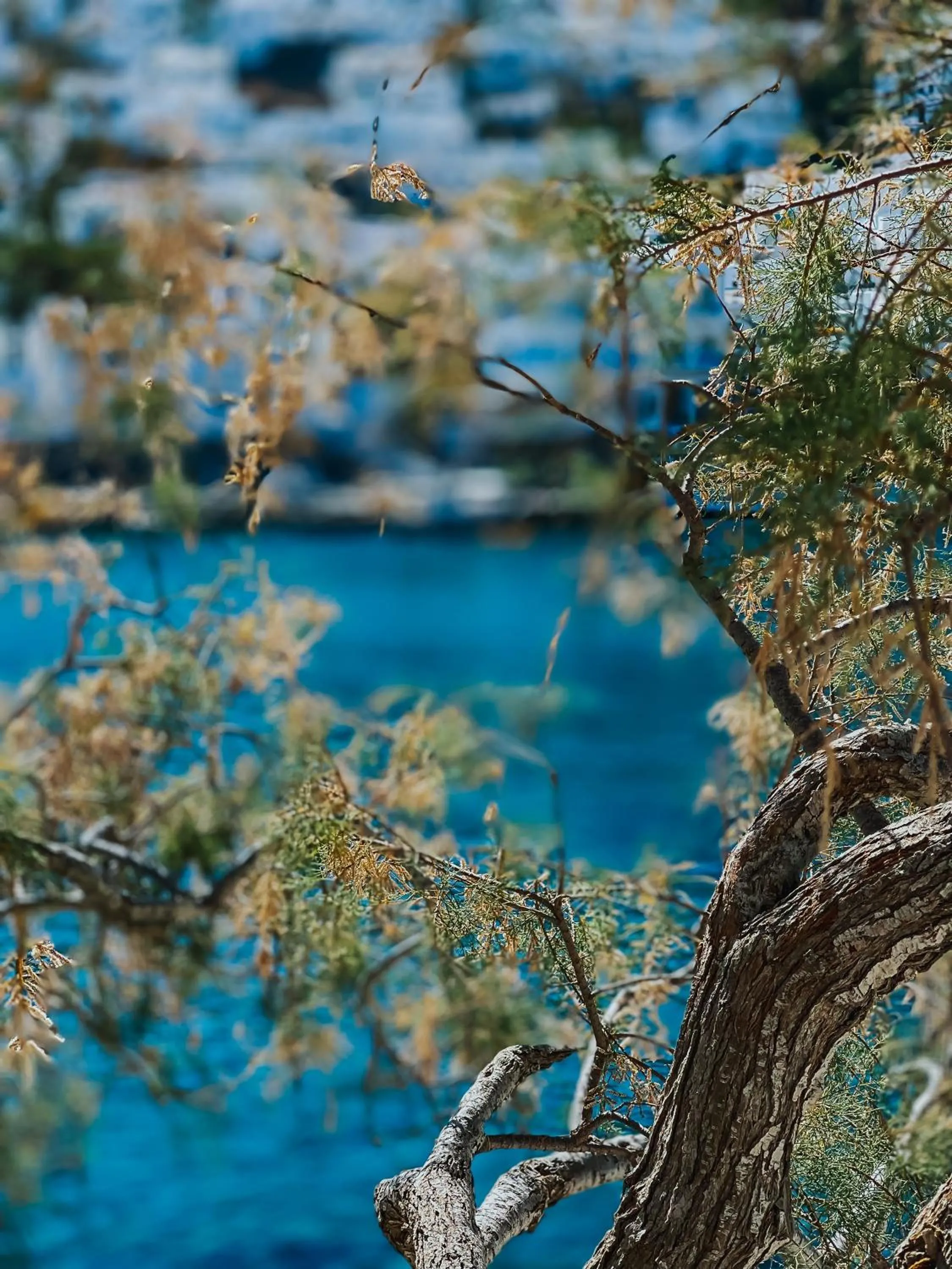 Natural landscape in Vithos Seaside Aparthotel