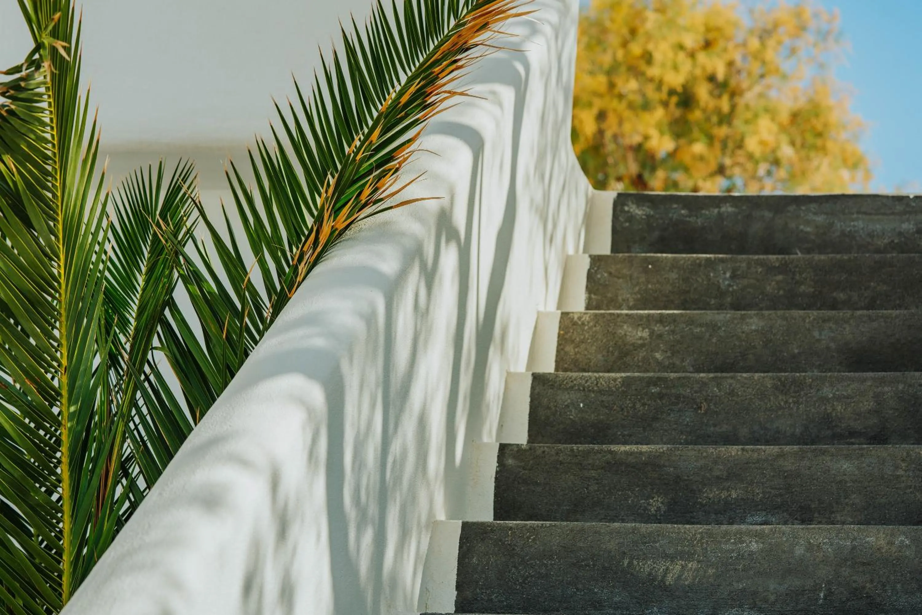 Decorative detail in Vithos Seaside Aparthotel