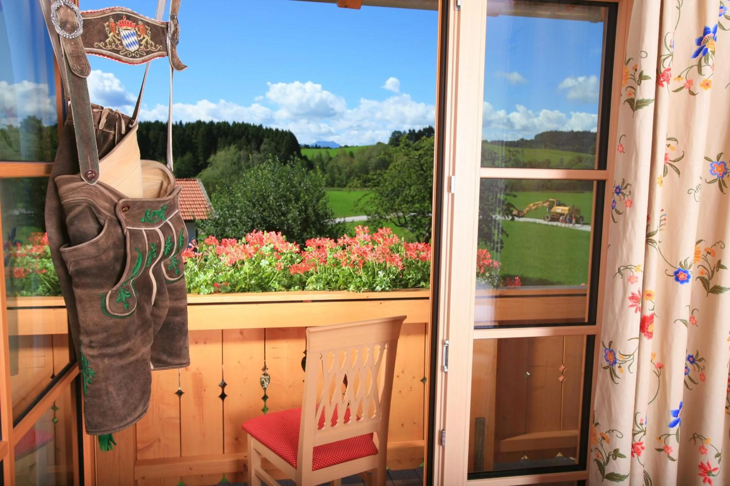 Balcony/Terrace in Pension Schweizerhaus Garni