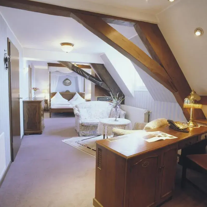Large Double Room in Schloßhotel Kurfürstliches Amtshaus Dauner Burg Large Double Room in Schloßhotel Kurfürstliches Amtshaus Dauner Burg