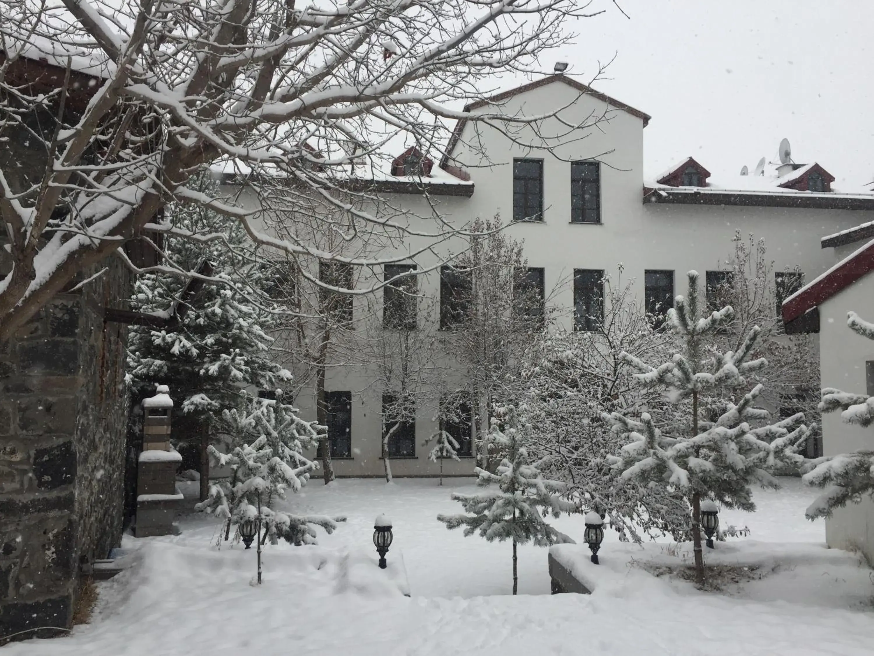 Garden view in Cheltikov Hotel Garden view in Cheltikov Hotel