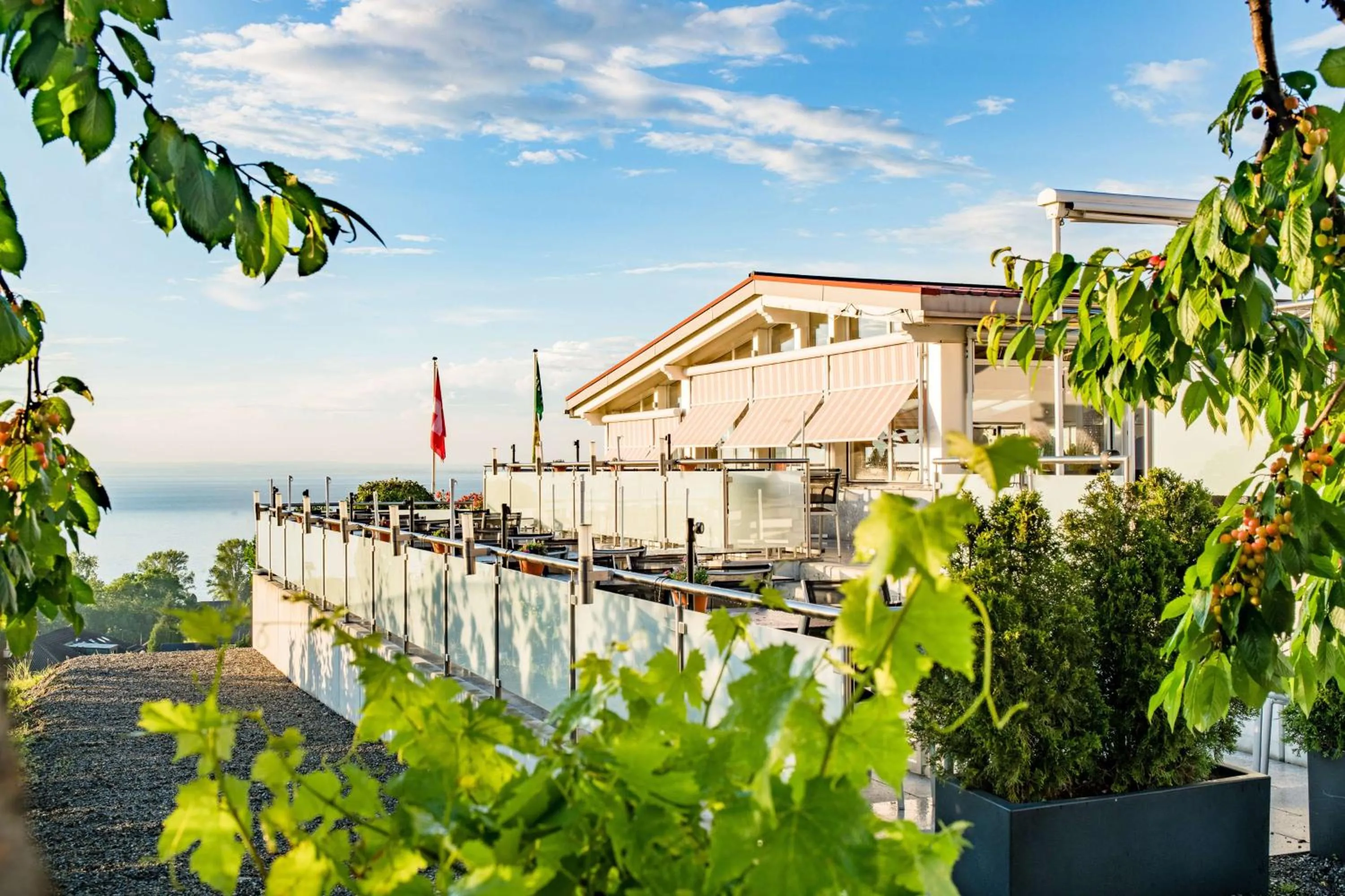 Food and drinks in Best Western Hotel Rebstock