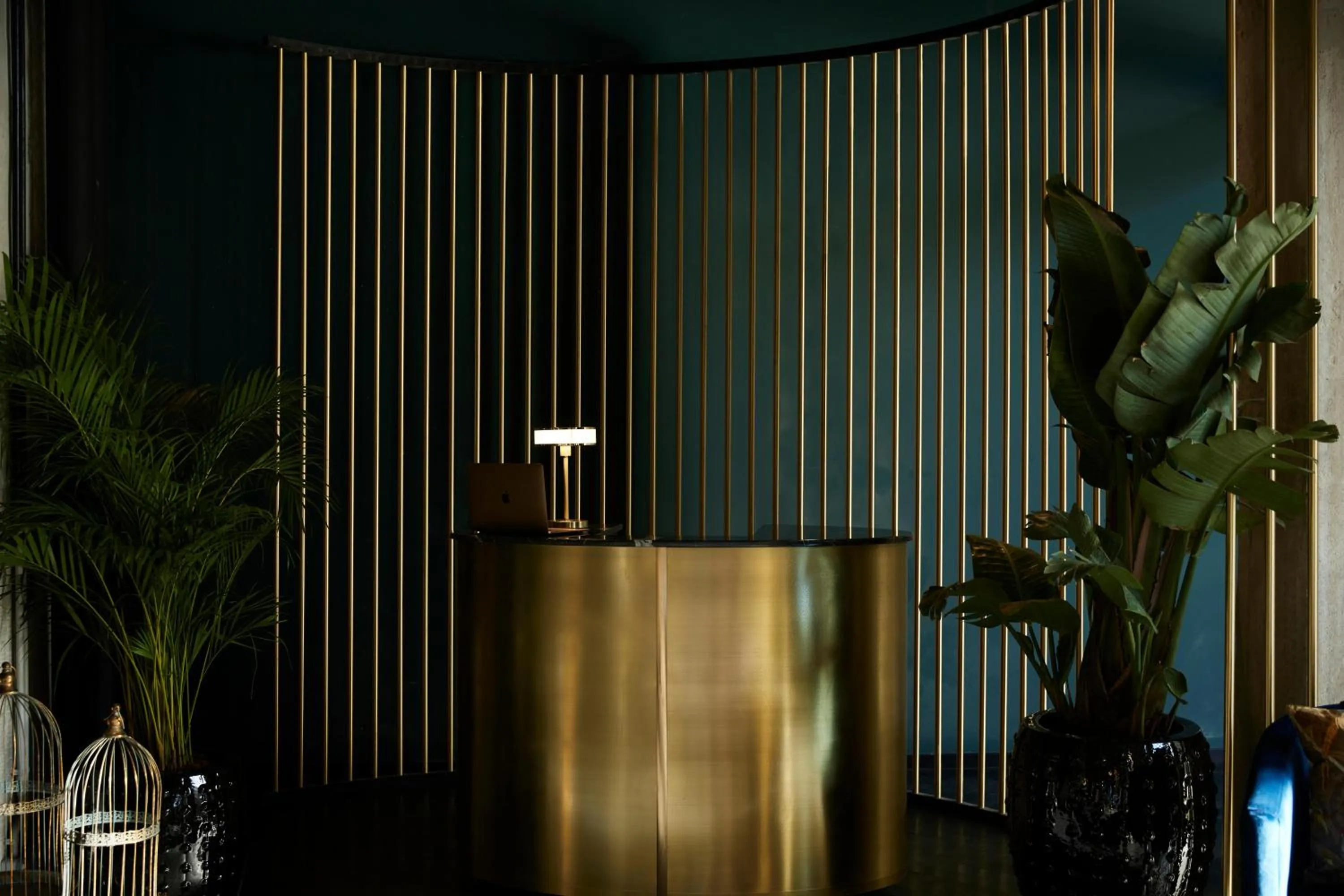 Lobby or reception in Skylark, Aluma Hotels & Resorts