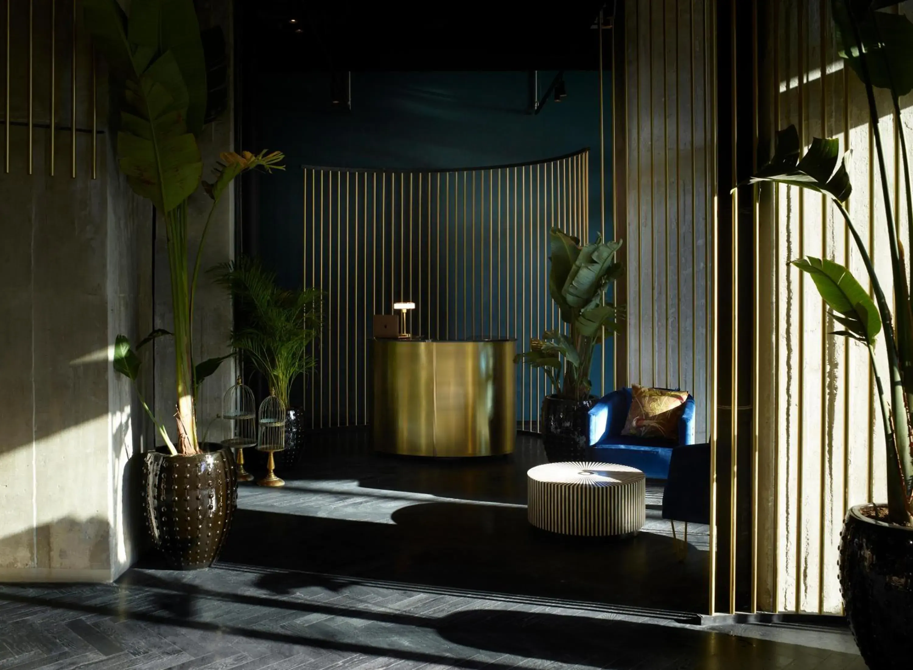 Lobby or reception in Skylark, Aluma Hotels & Resorts Lobby or reception in Skylark, Aluma Hotels & Resorts