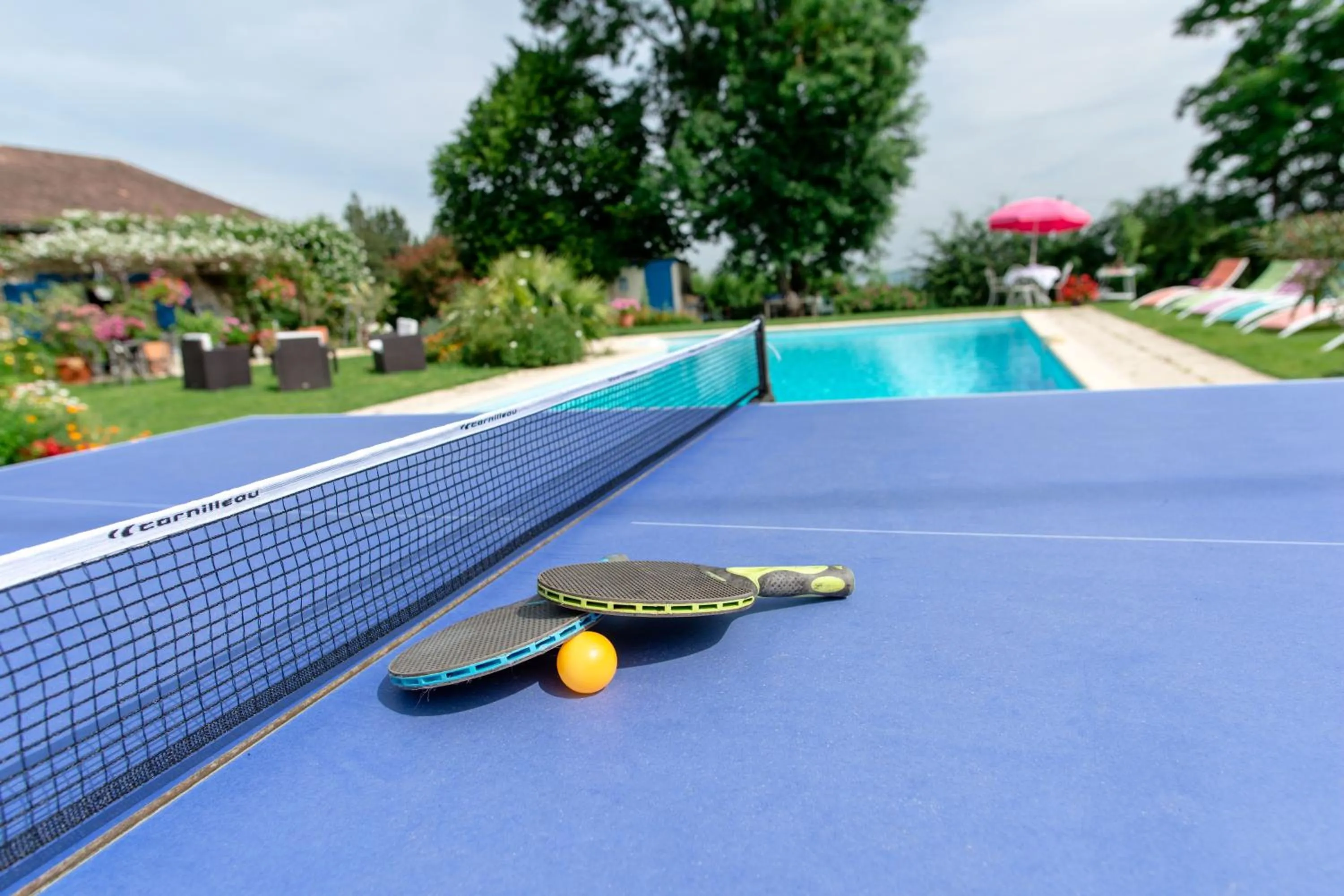 Table tennis in Chambres d'hôtes Larroquinière