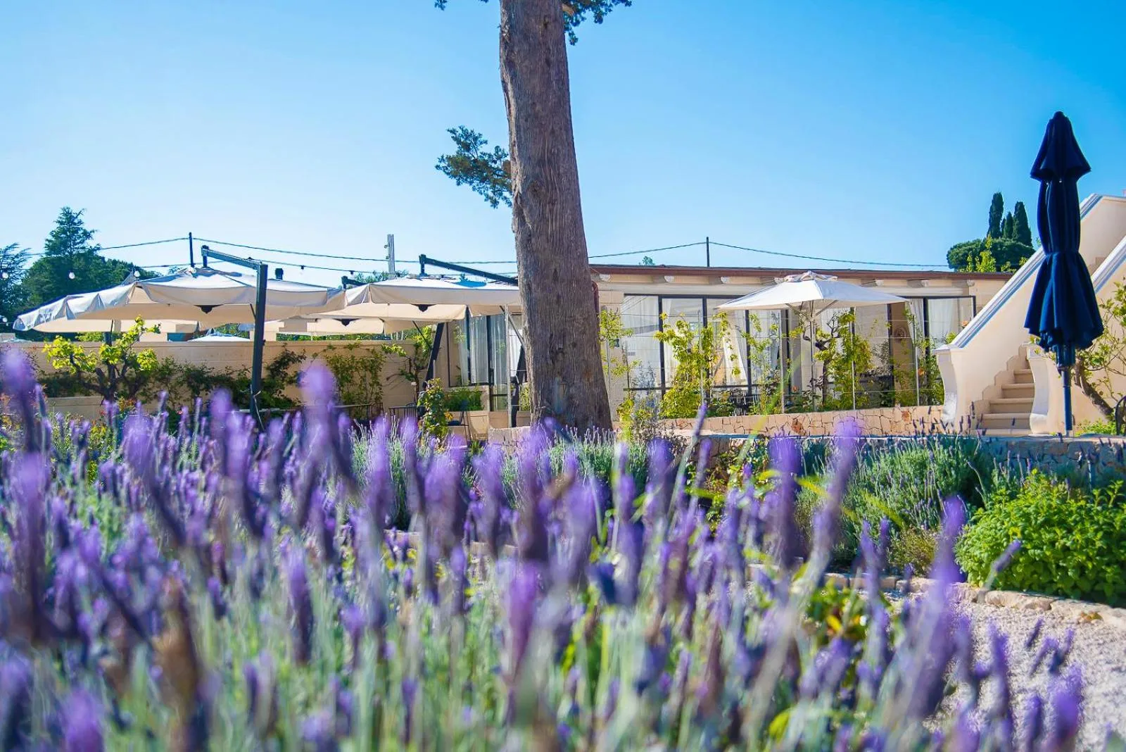 Restaurant/places to eat in Borgo dei Lecci Puglia