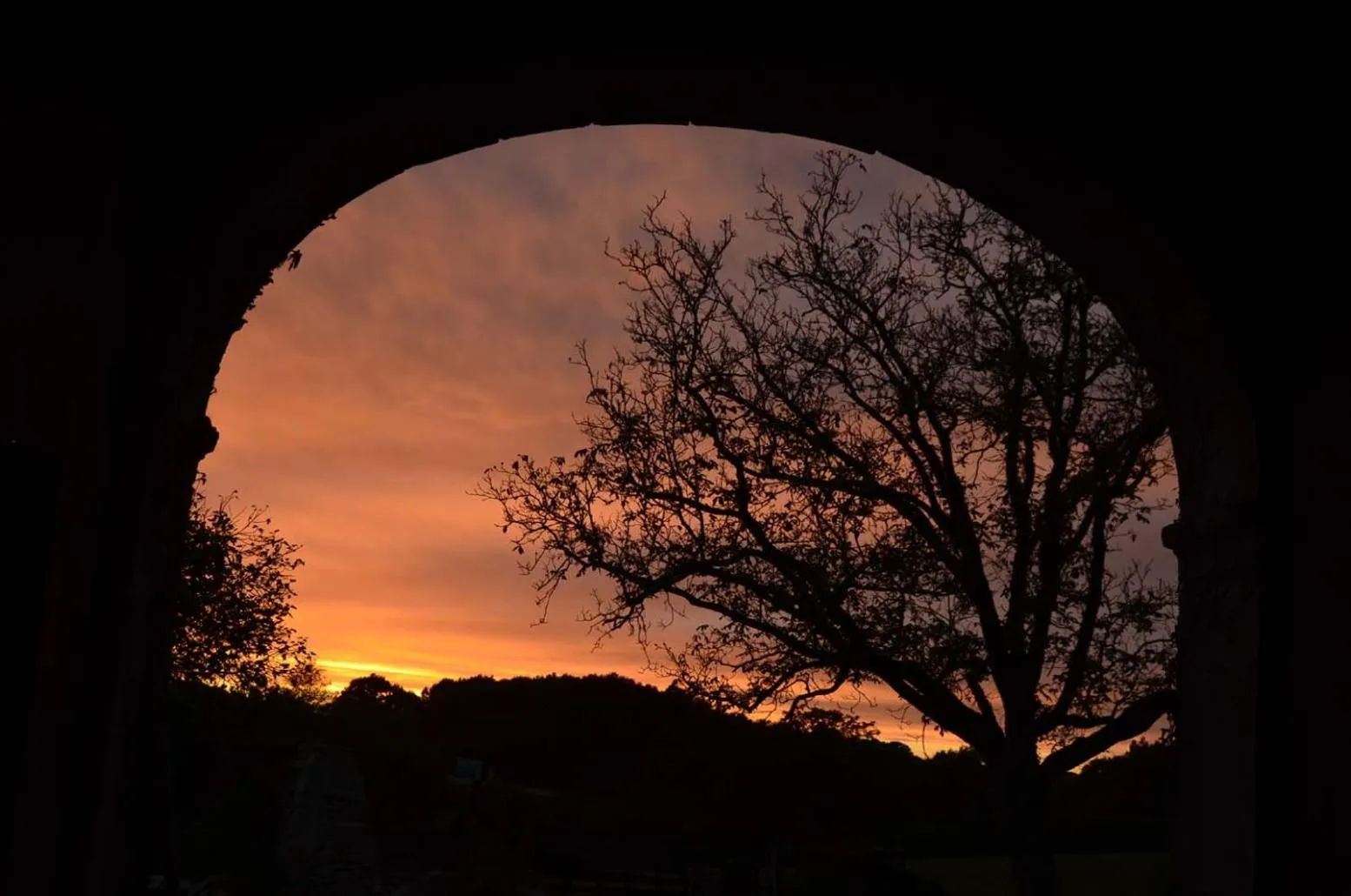 View (from property/room) in Domaine de la Castagnère