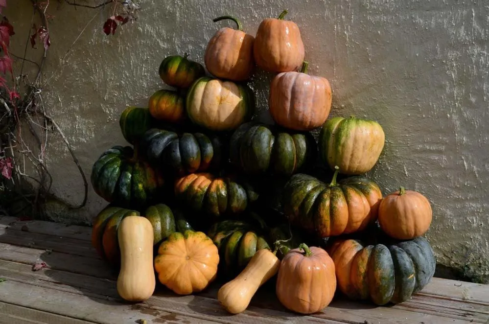 Meals in Domaine de la Castagnère
