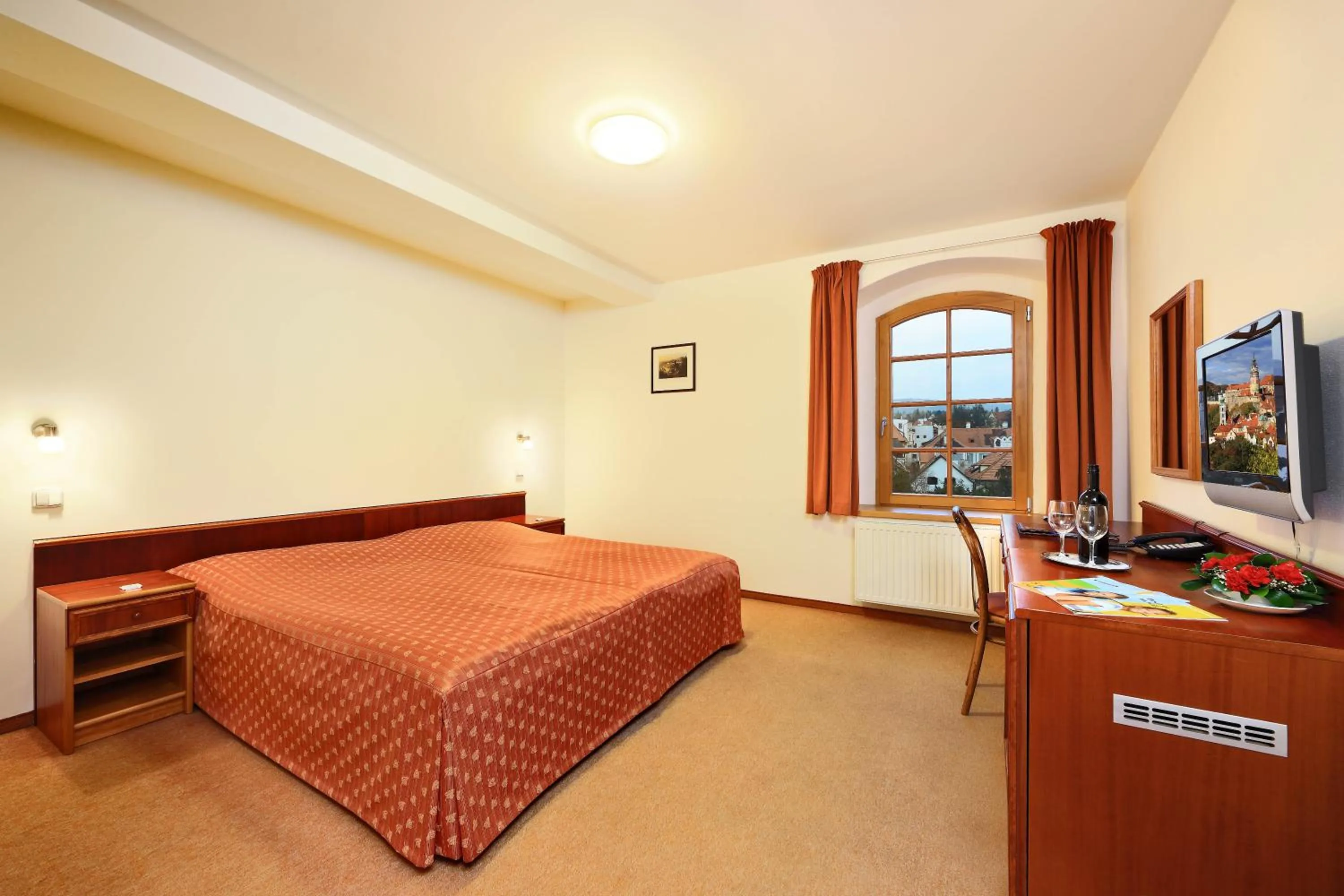 Double or Twin Room with City View in Hotel Mlýn