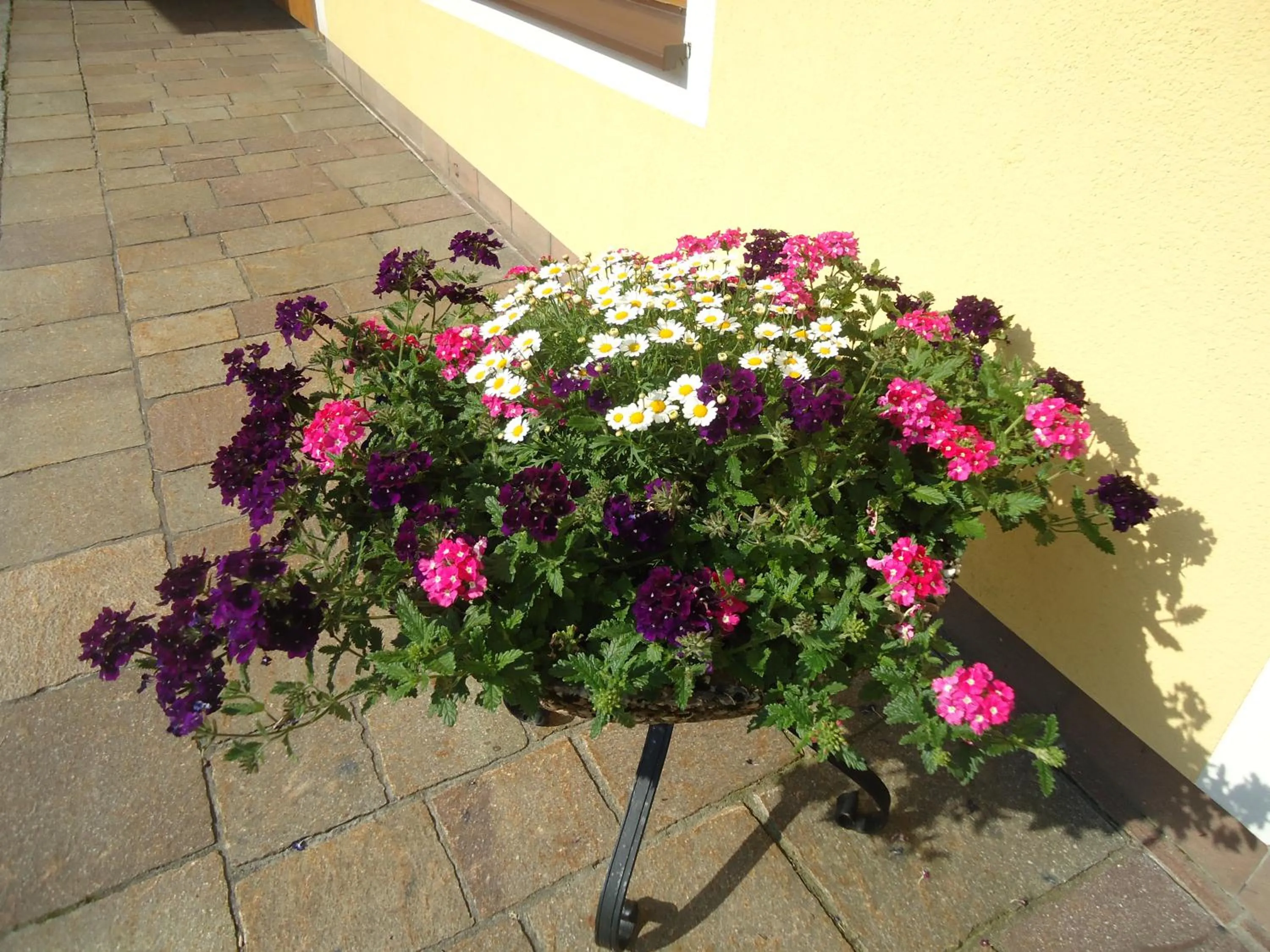 View (from property/room) in Pension Wald