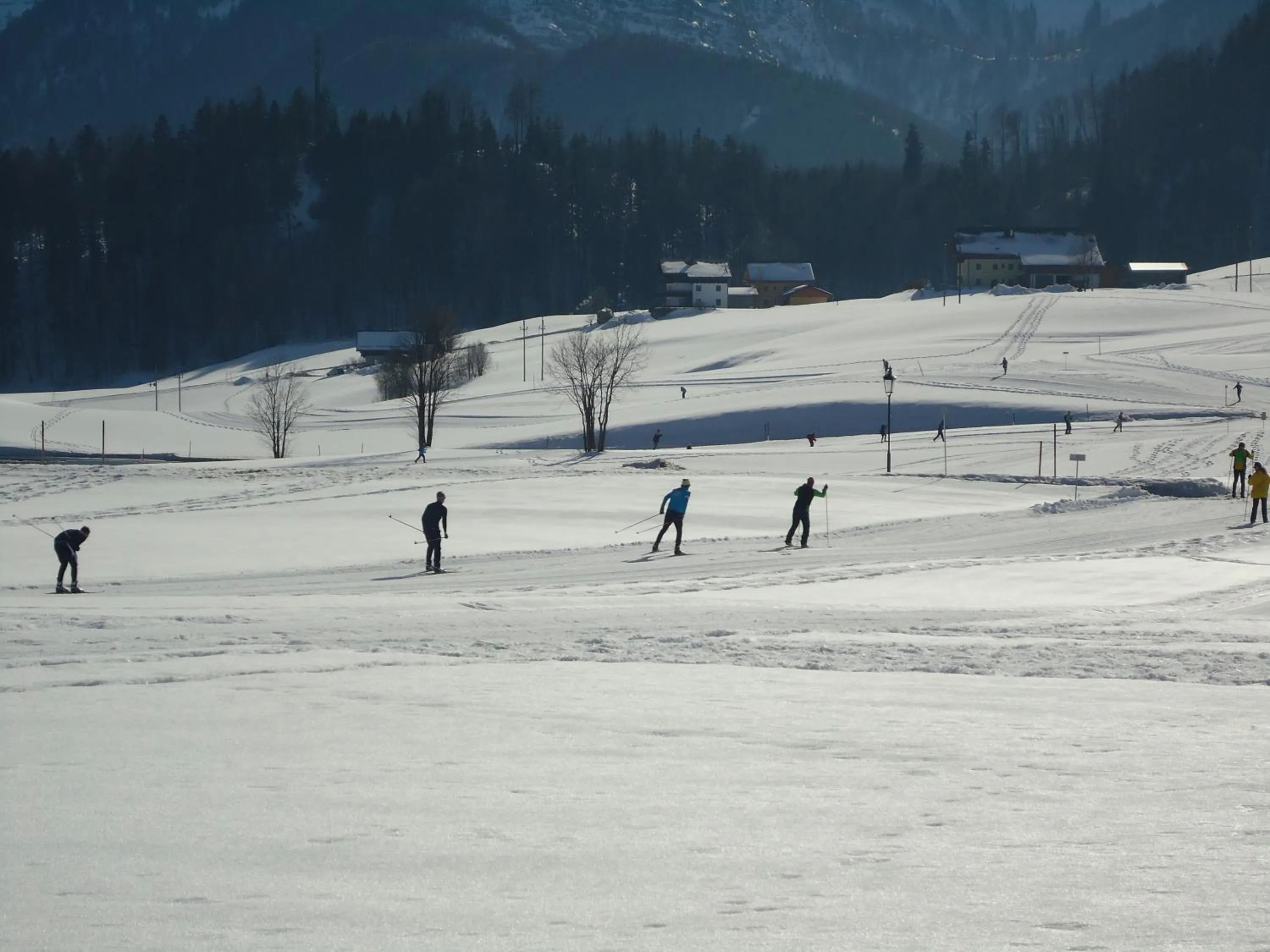 Activities in Pension Wald