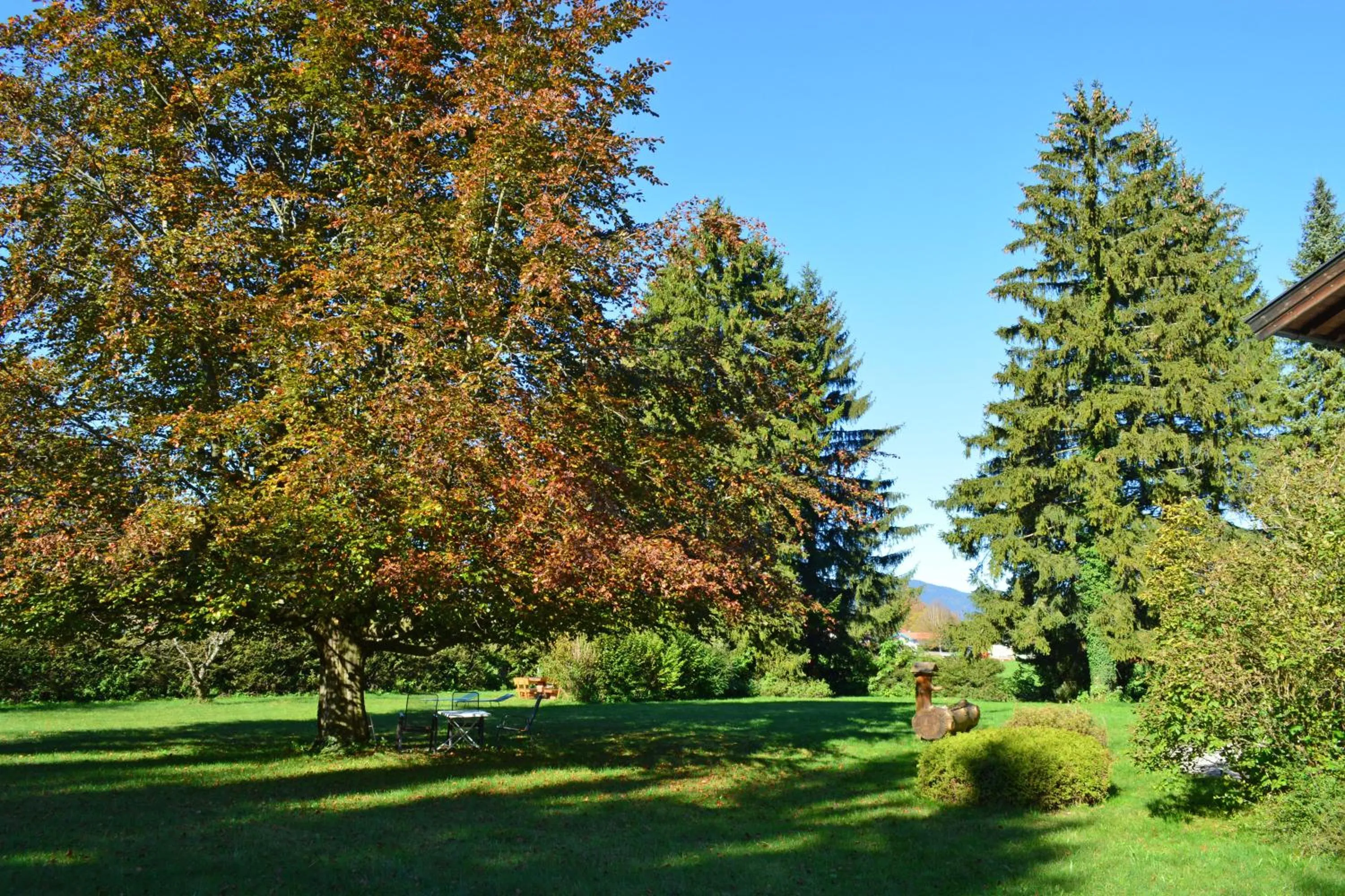 Garden in Hotel Garni Sonnenhof