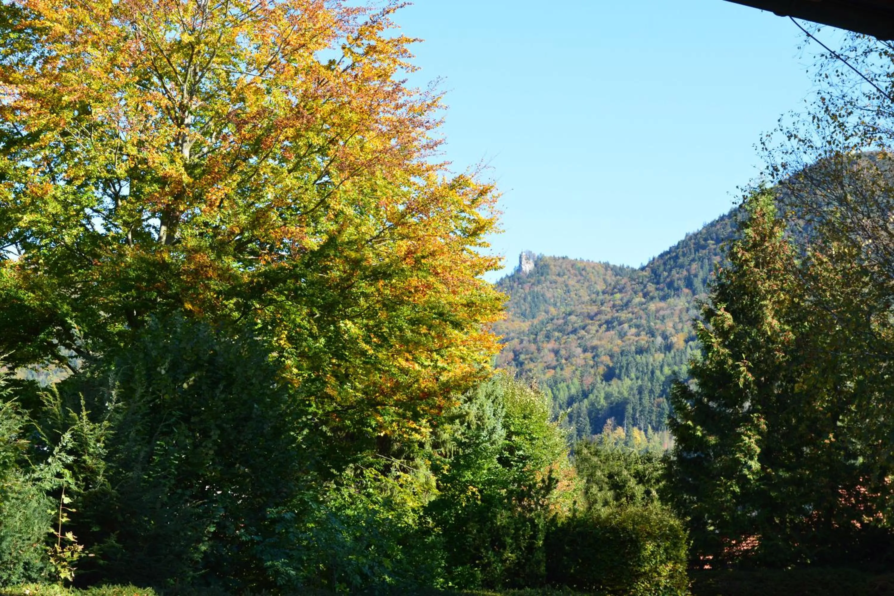 View (from property/room) in Hotel Garni Sonnenhof