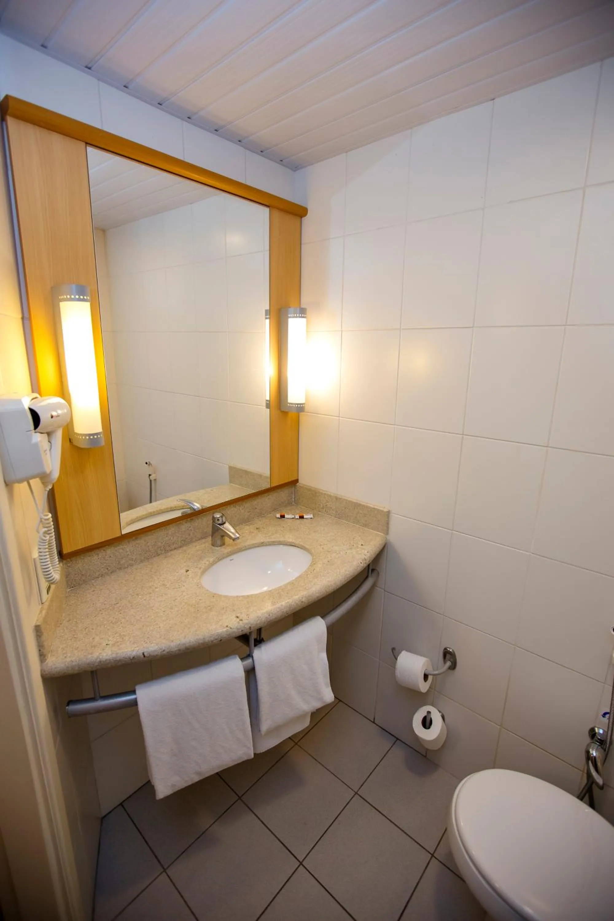 Bathroom in ibis Poços de Caldas