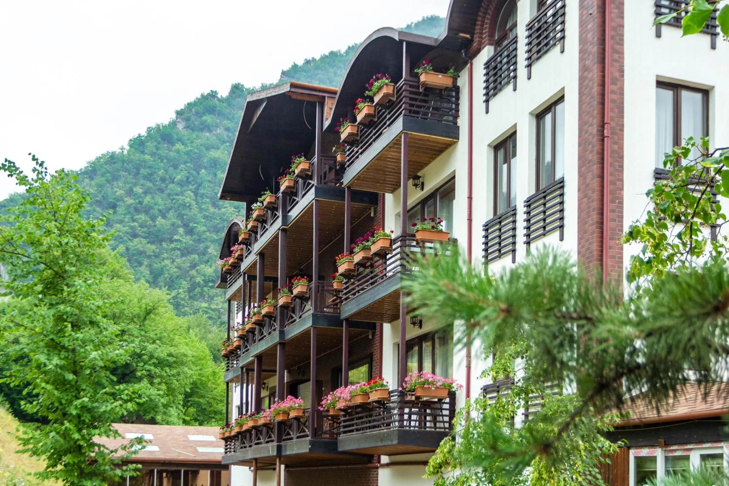 Property building in Quba Vadi Chalet Hotel