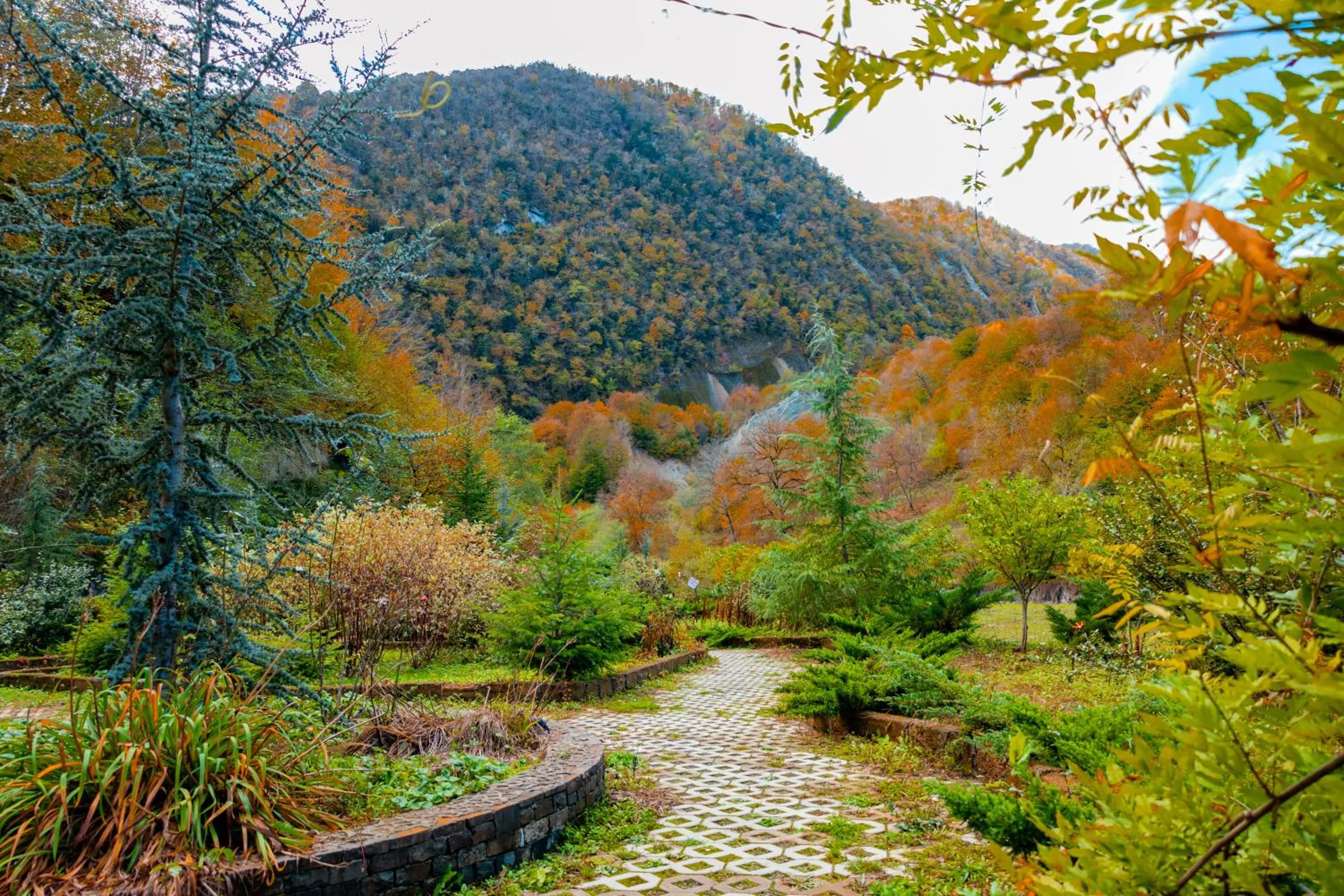 Winter in Quba Vadi Chalet Hotel