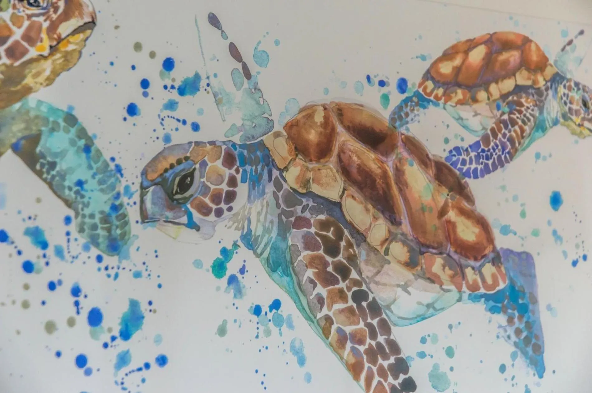 Floor plan in Coppet Cove - 2 Bedroom Apartment - Saundersfoot