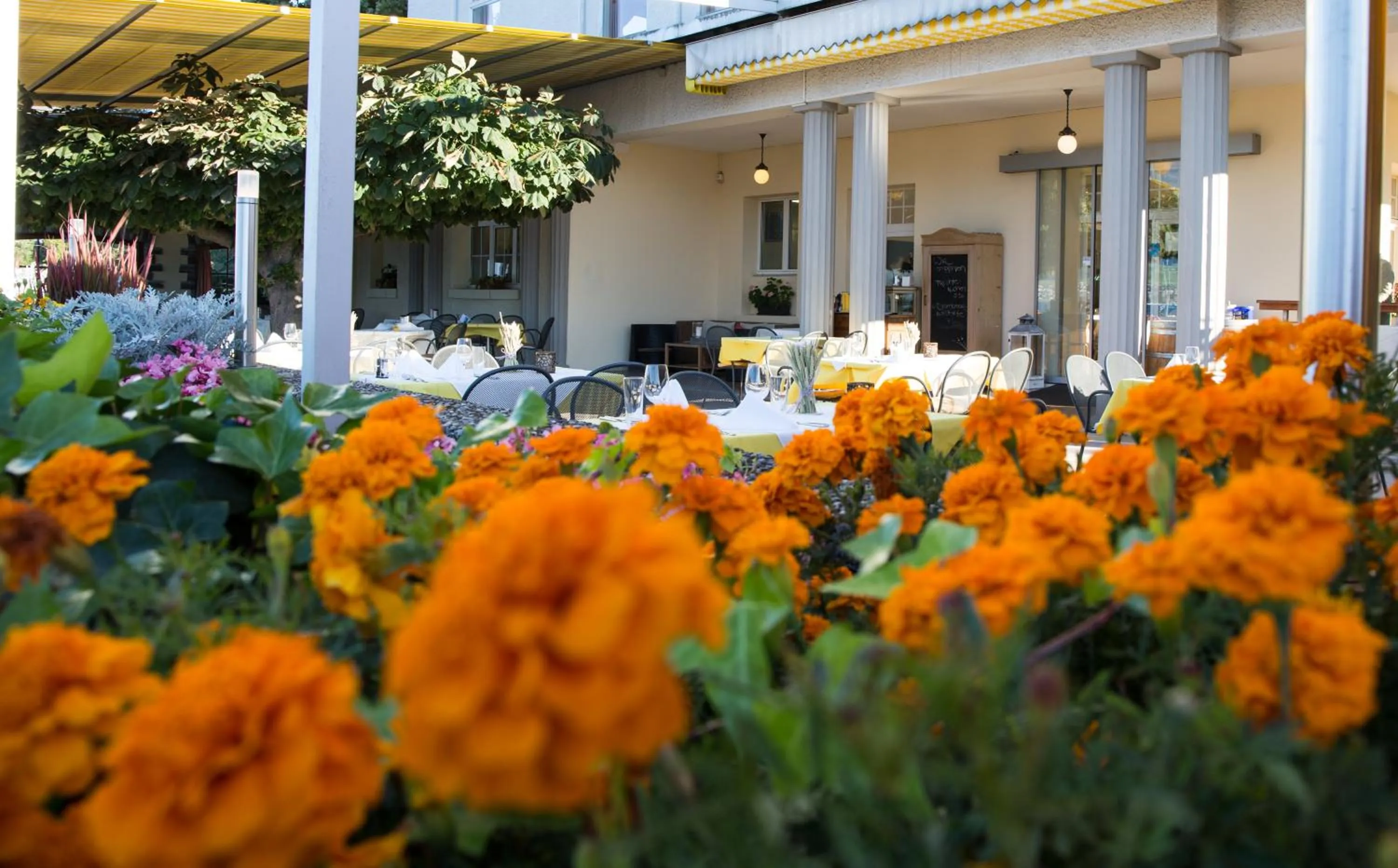 Balcony/Terrace in Hotel Restaurant Bellevue au Lac