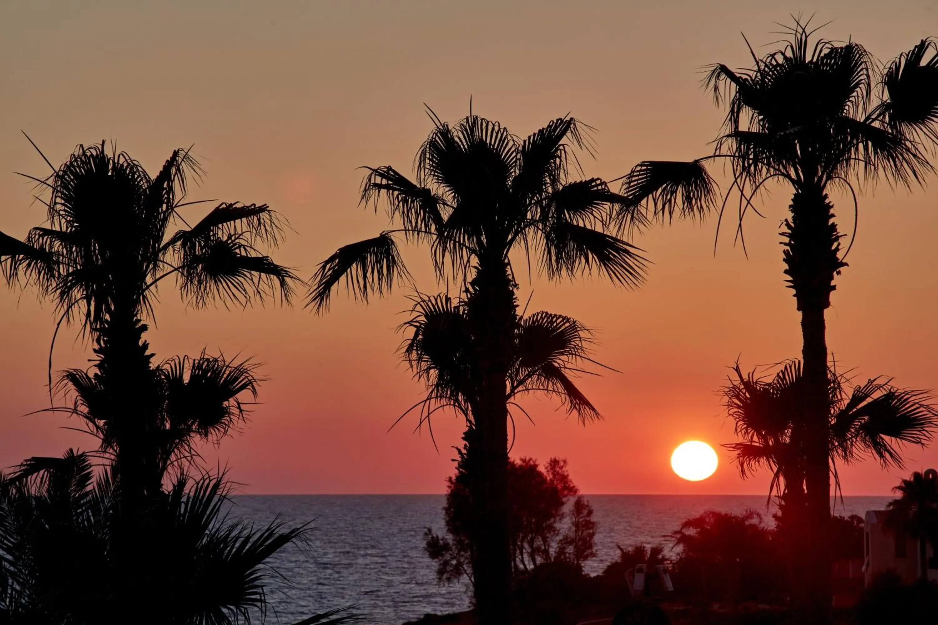 Bird's eye view in Atlantica Golden Beach Hotel - Adults Only