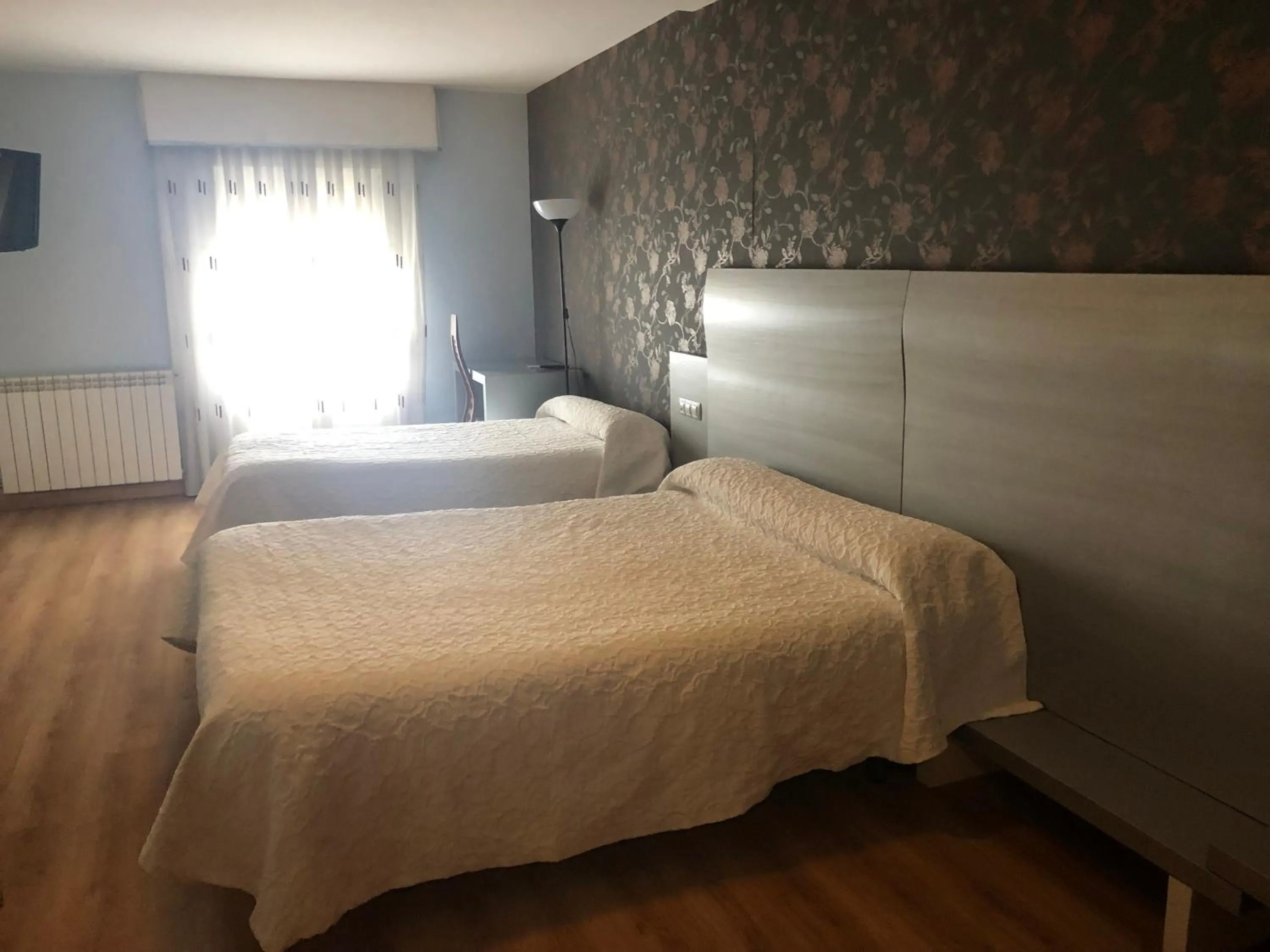 EL CAPRICHO DE CLEMENTE