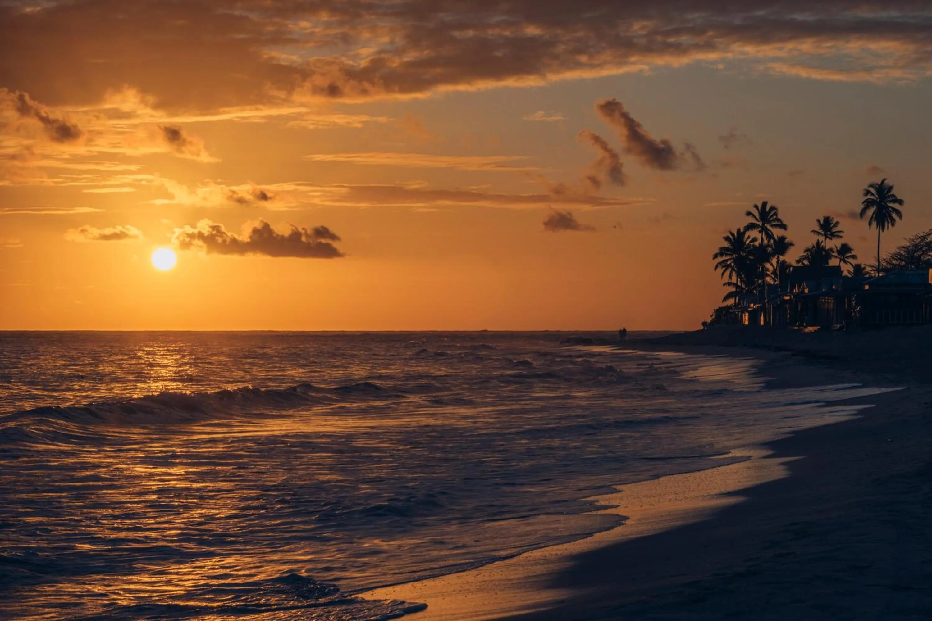 Beach in JOIA Bavaro by Iberostar - Adults Only All Inclusive Resort