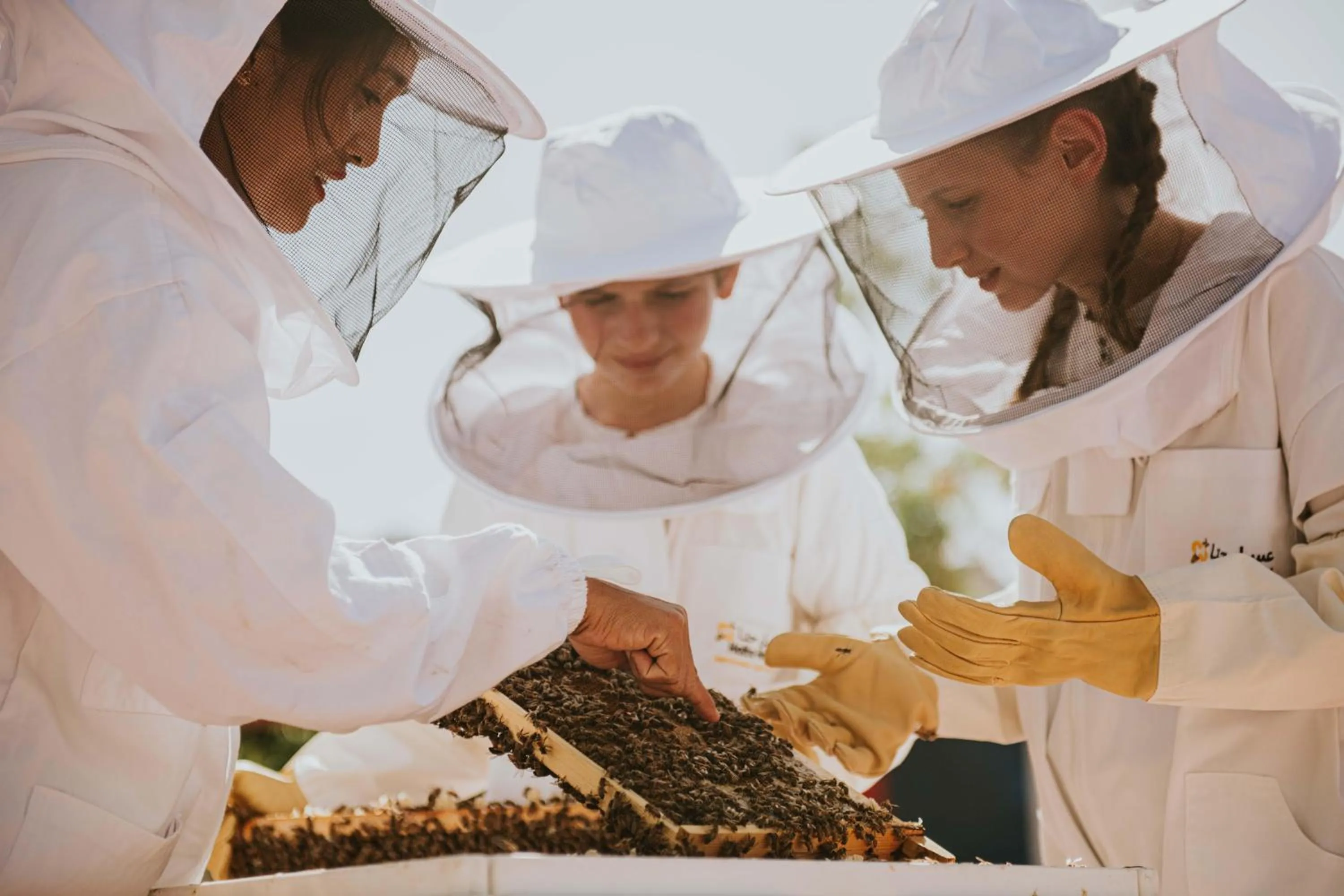 Activities in JA Hatta Fort Hotel