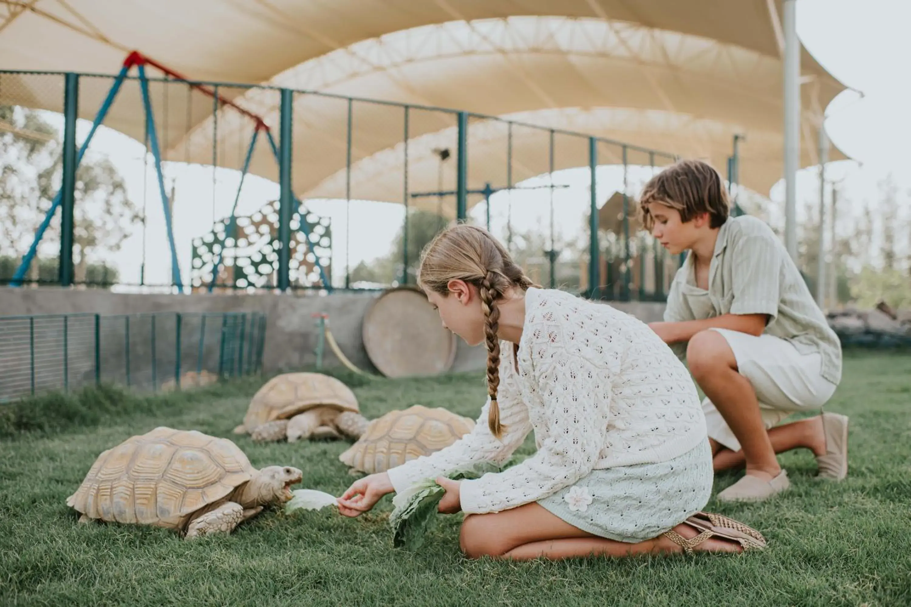 Landmark view in JA Hatta Fort Hotel Landmark view in JA Hatta Fort Hotel