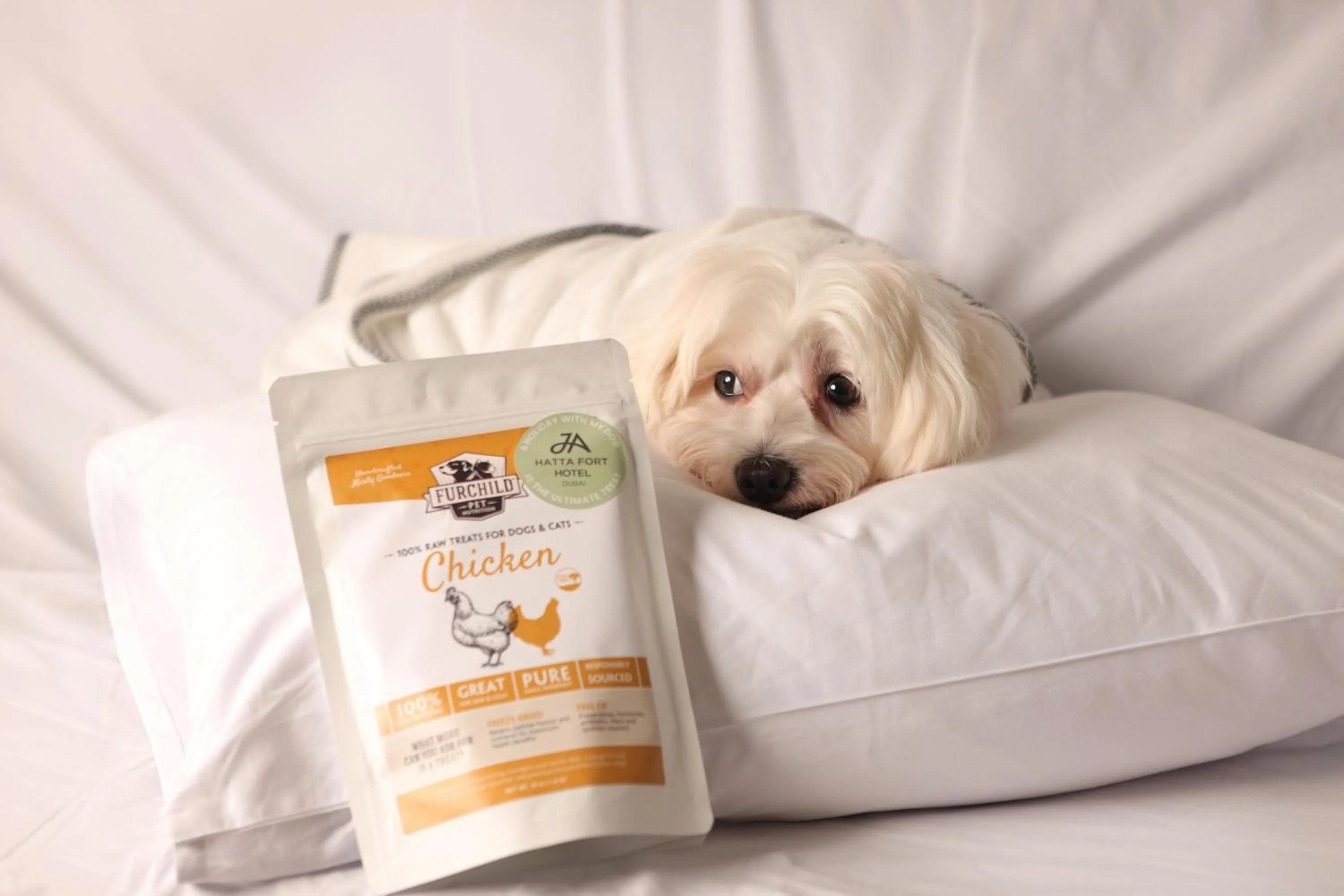 Pets in JA Hatta Fort Hotel