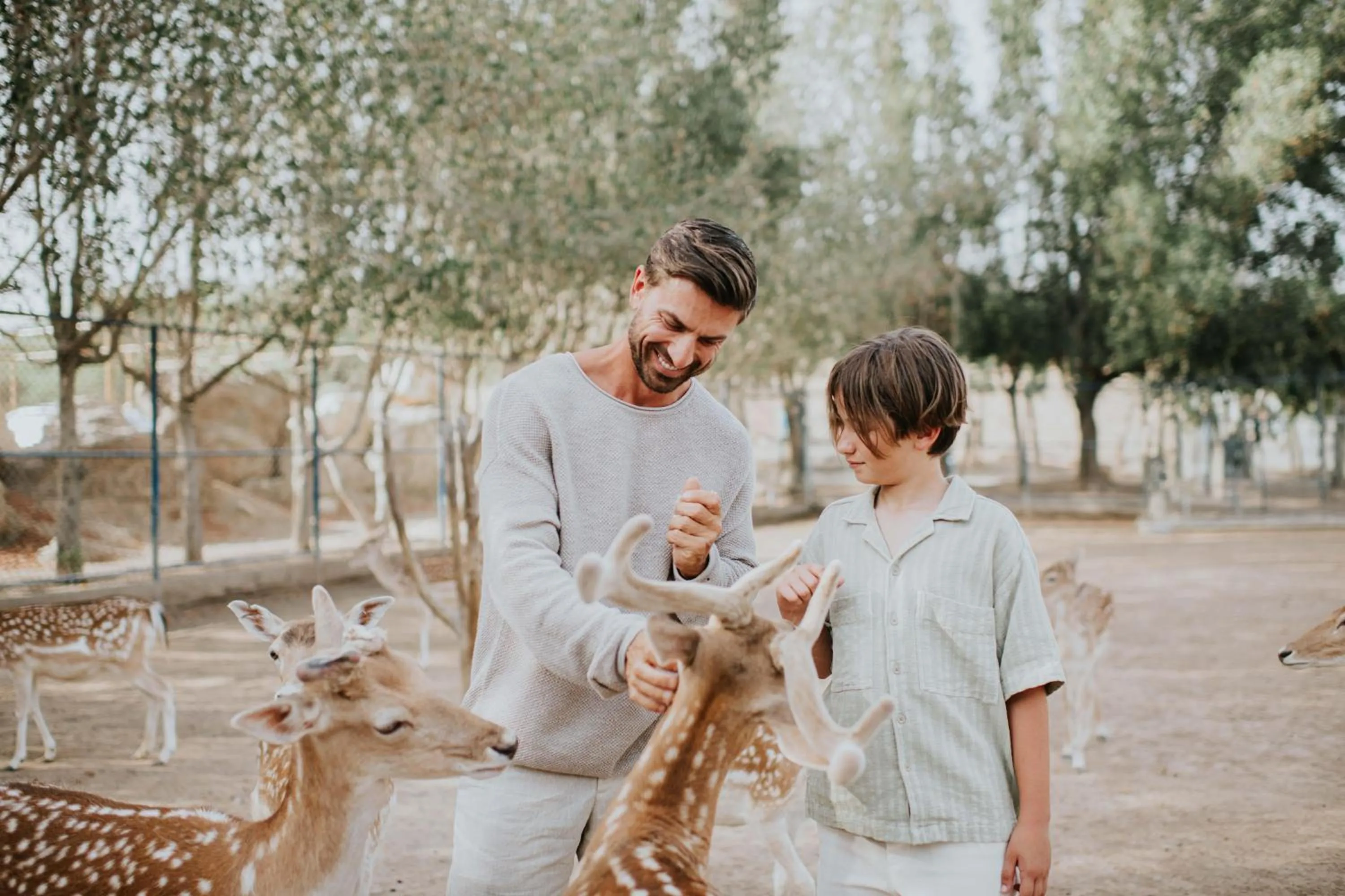 Landmark view in JA Hatta Fort Hotel