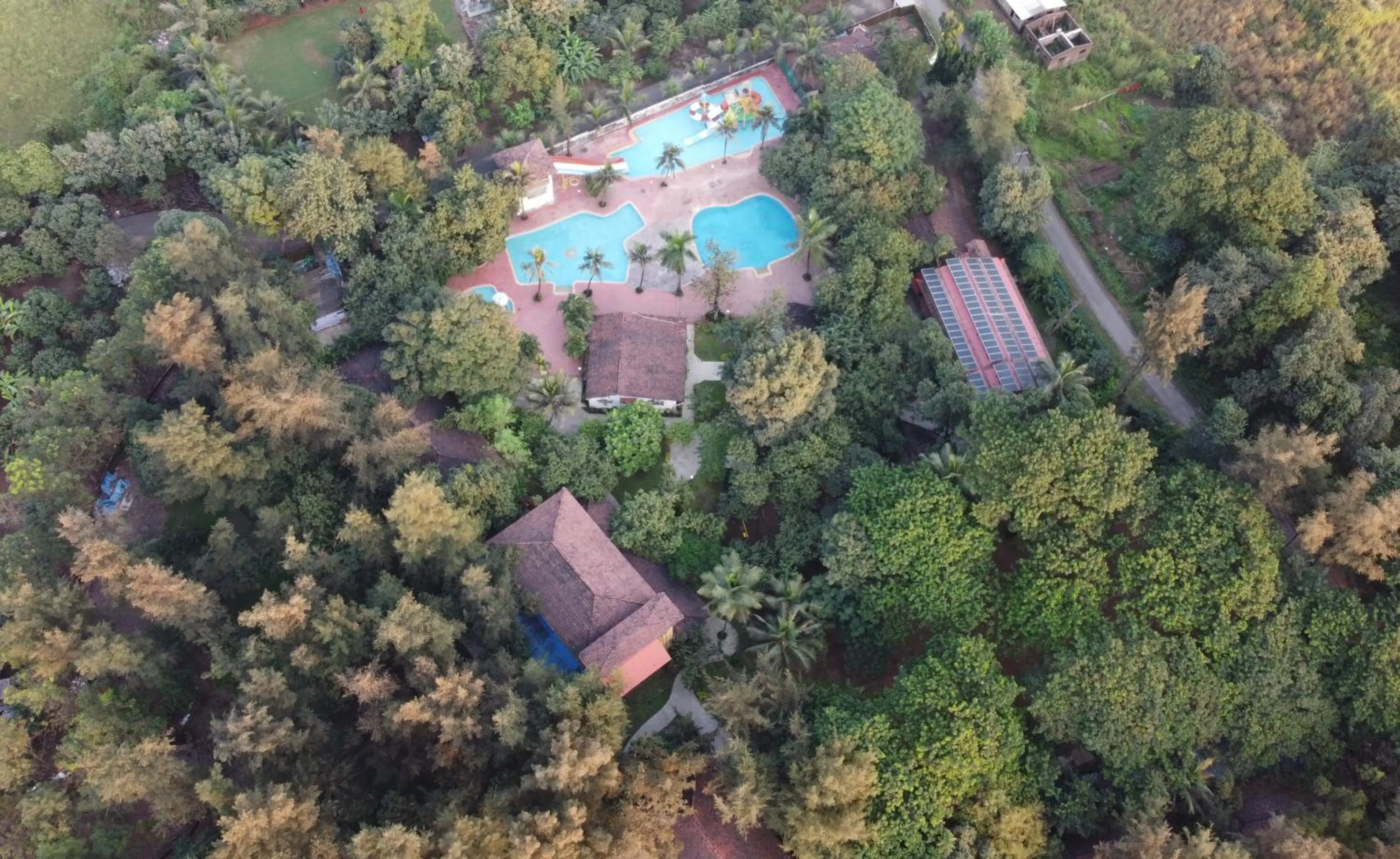 View (from property/room) in Pinewood Resort