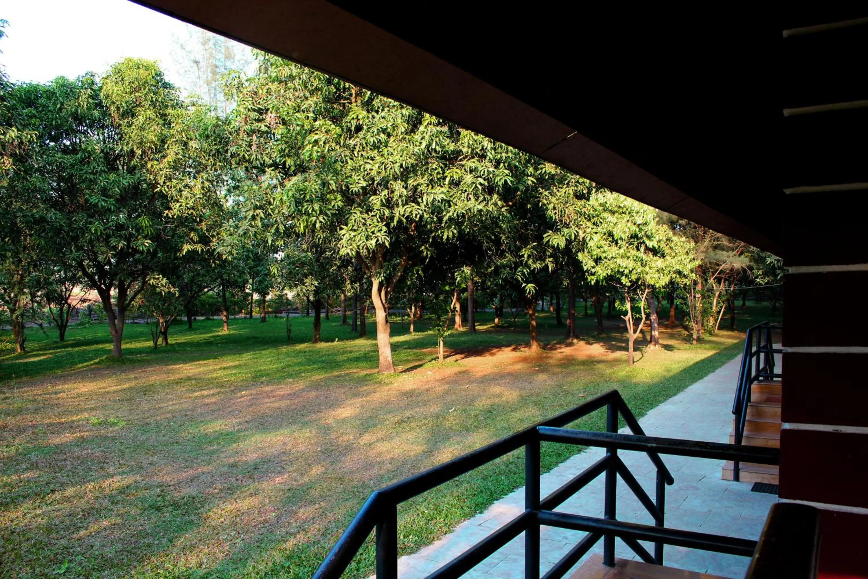 BBQ facilities in Pinewood Resort