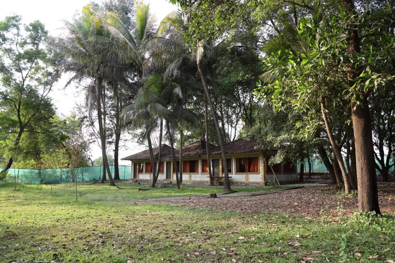 Activities in Pinewood Resort