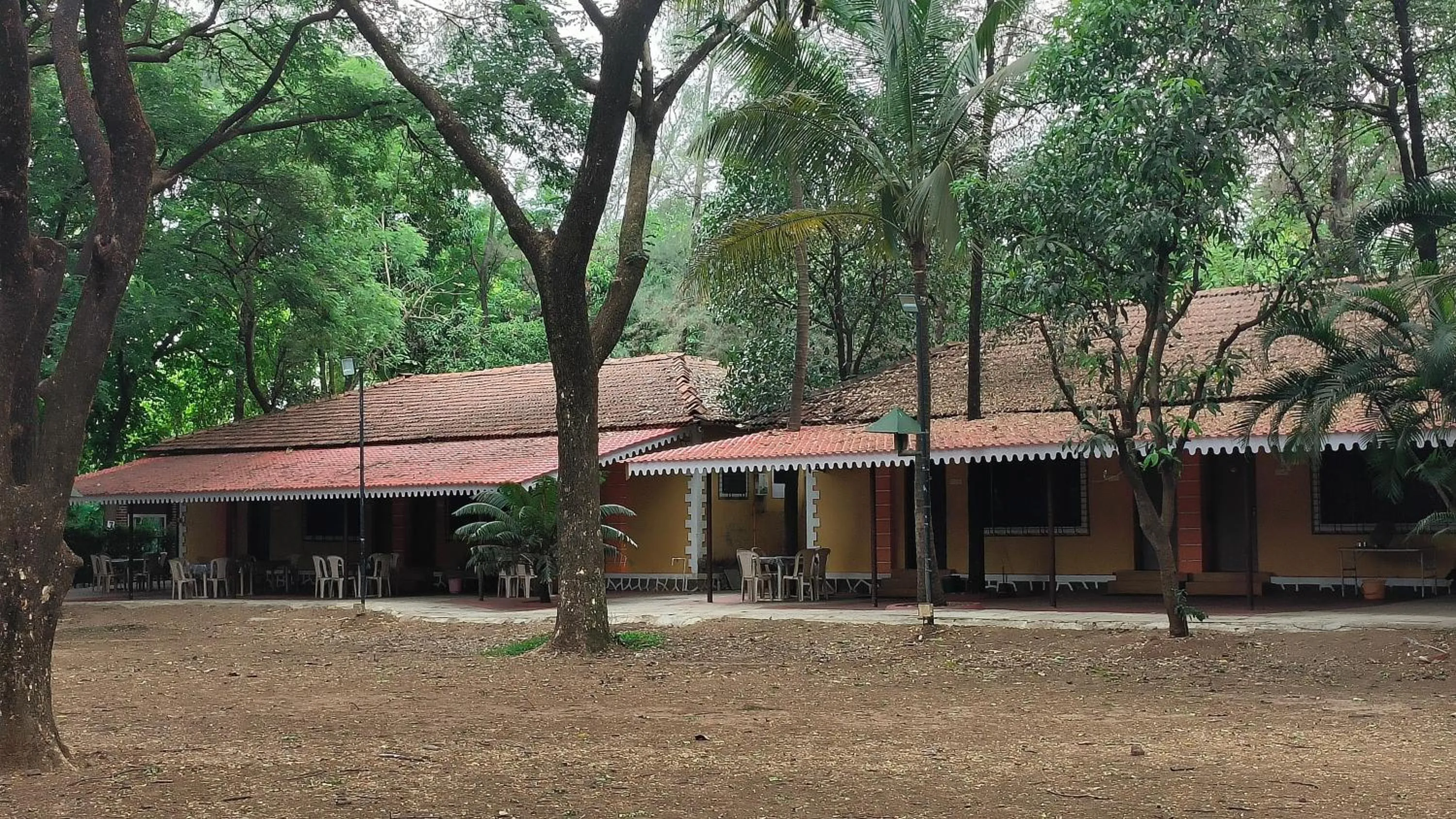 Natural landscape in Pinewood Resort