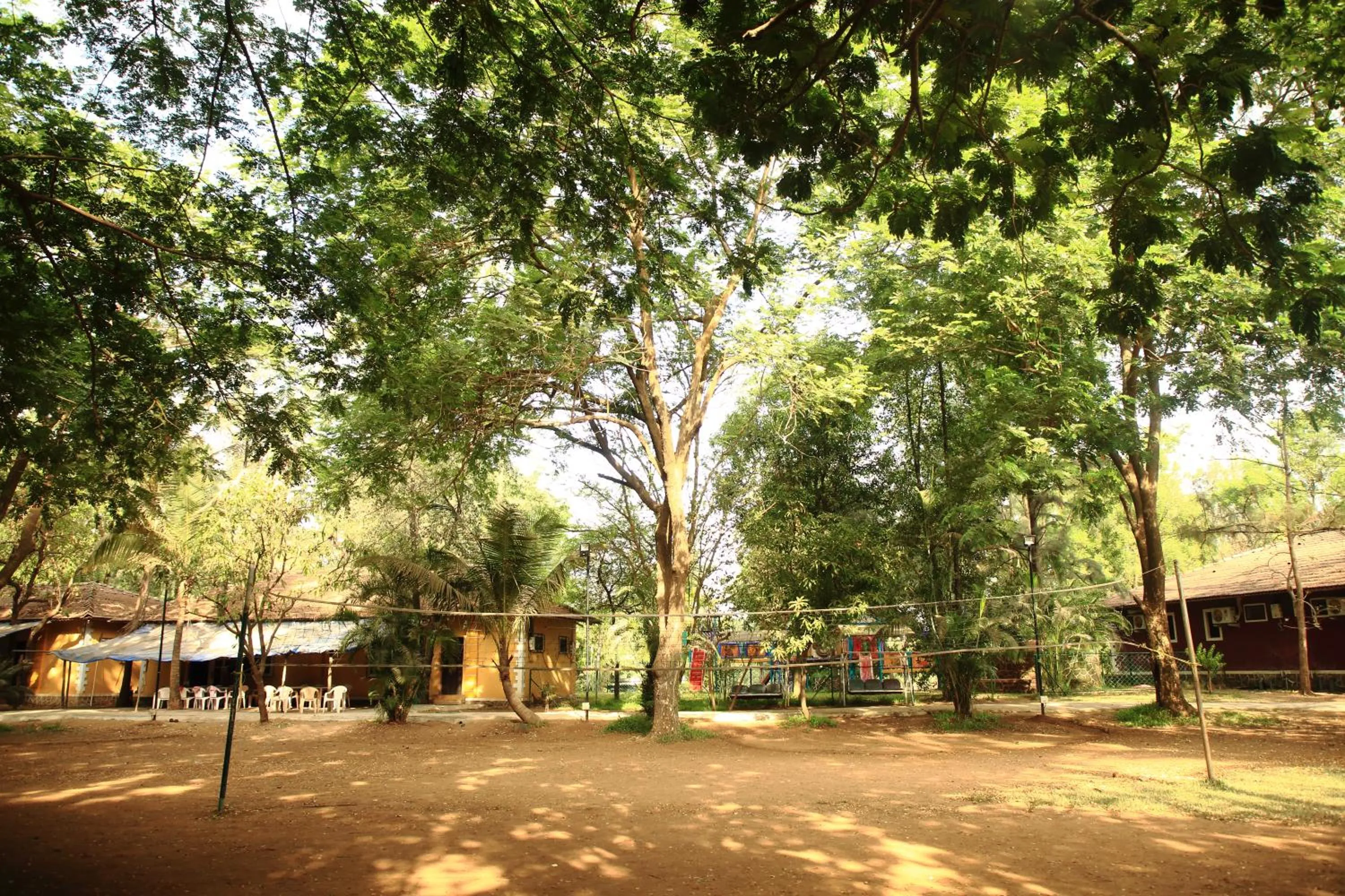 Activities in Pinewood Resort