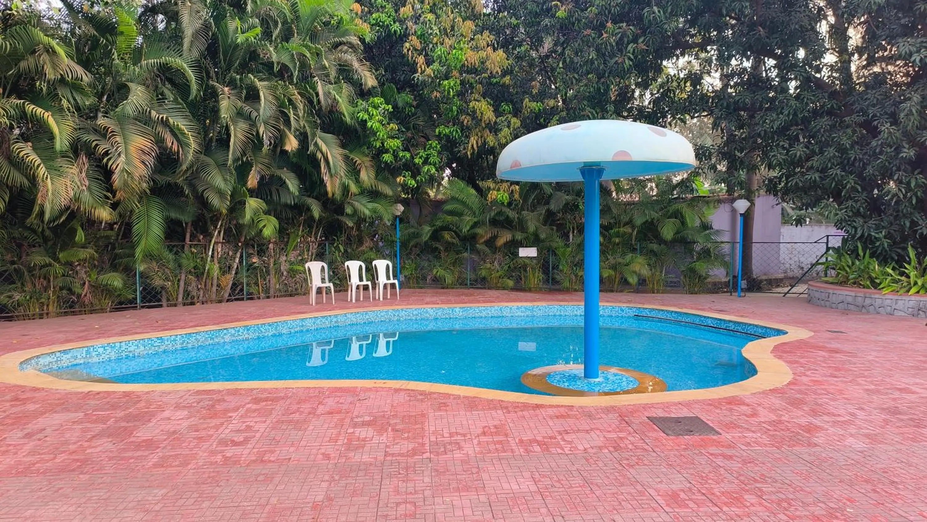 Swimming pool in Pinewood Resort