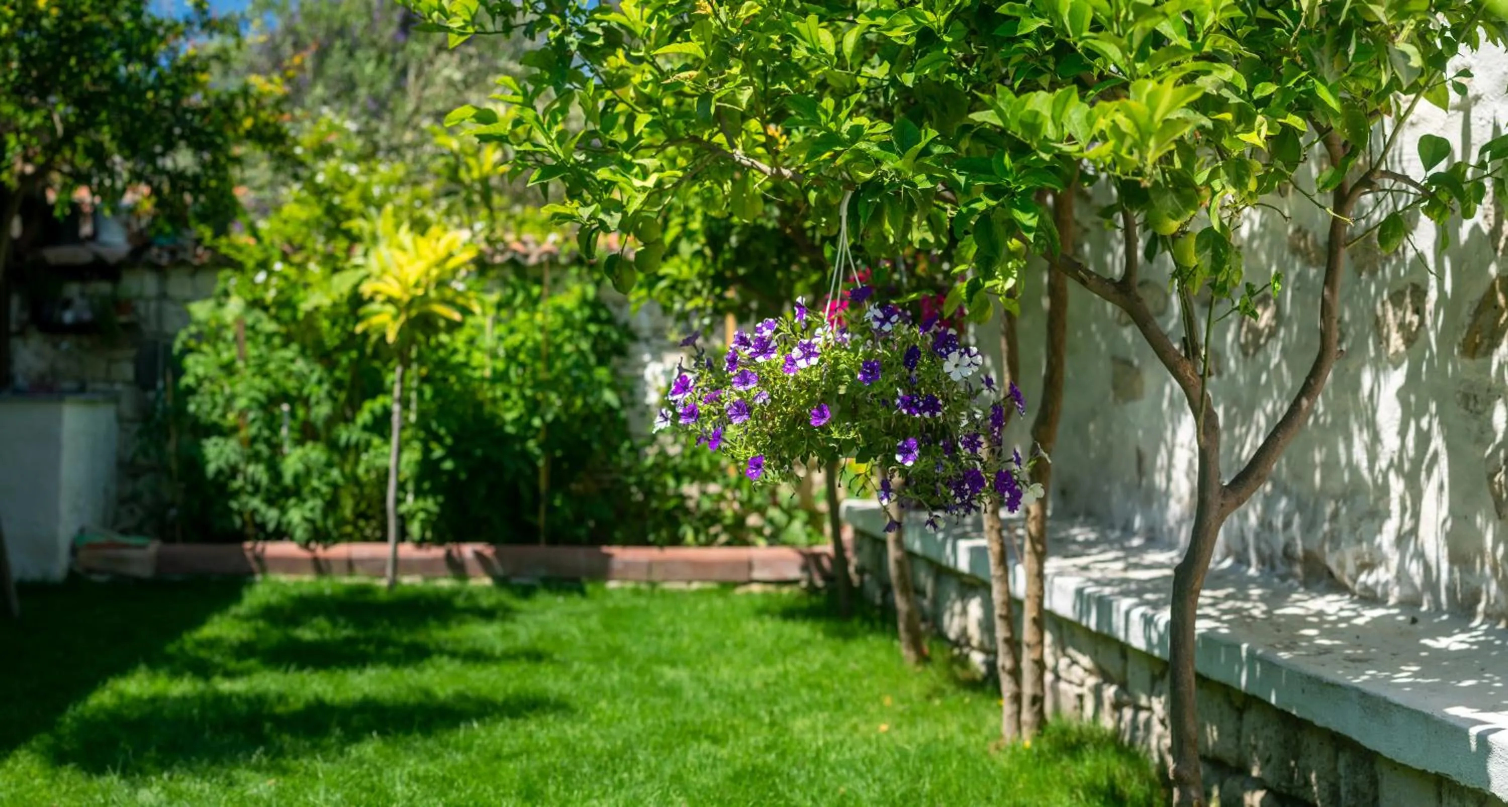 Garden in Flores Hotel Alaçatı