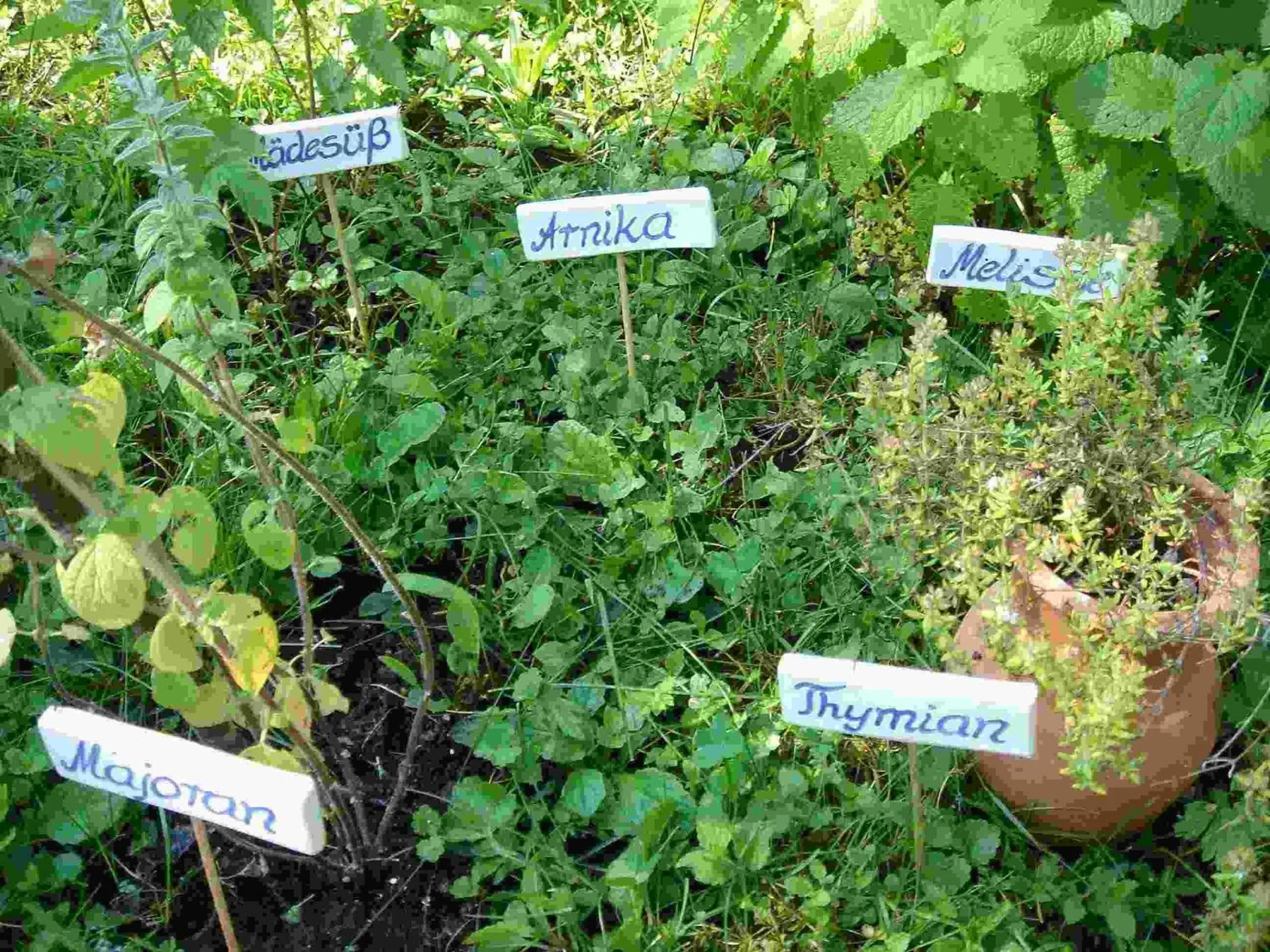 Garden in Kneipp- und Wellvitalhotel Edelweiss