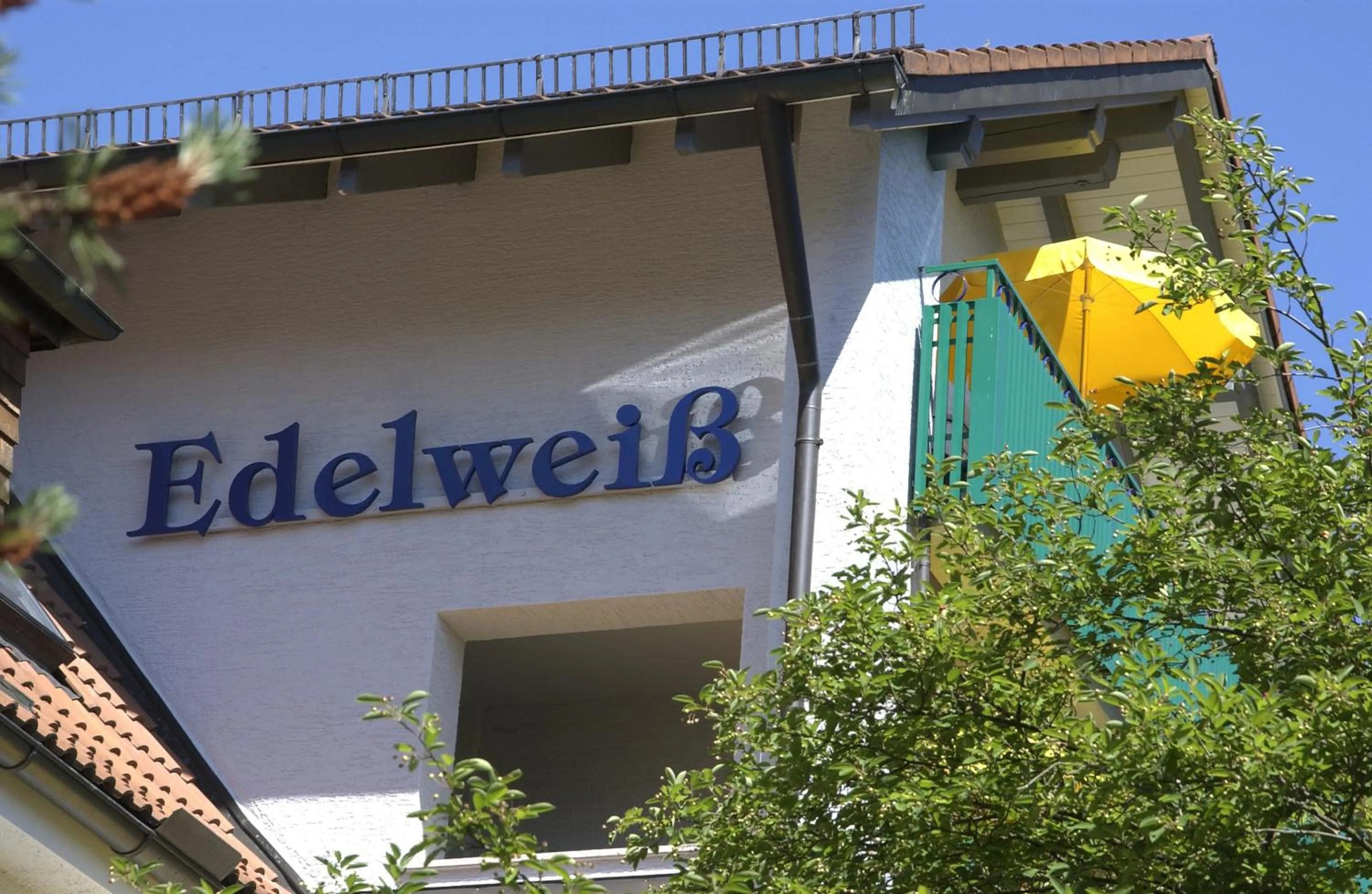 Facade/entrance in Kneipp- und Wellvitalhotel Edelweiss