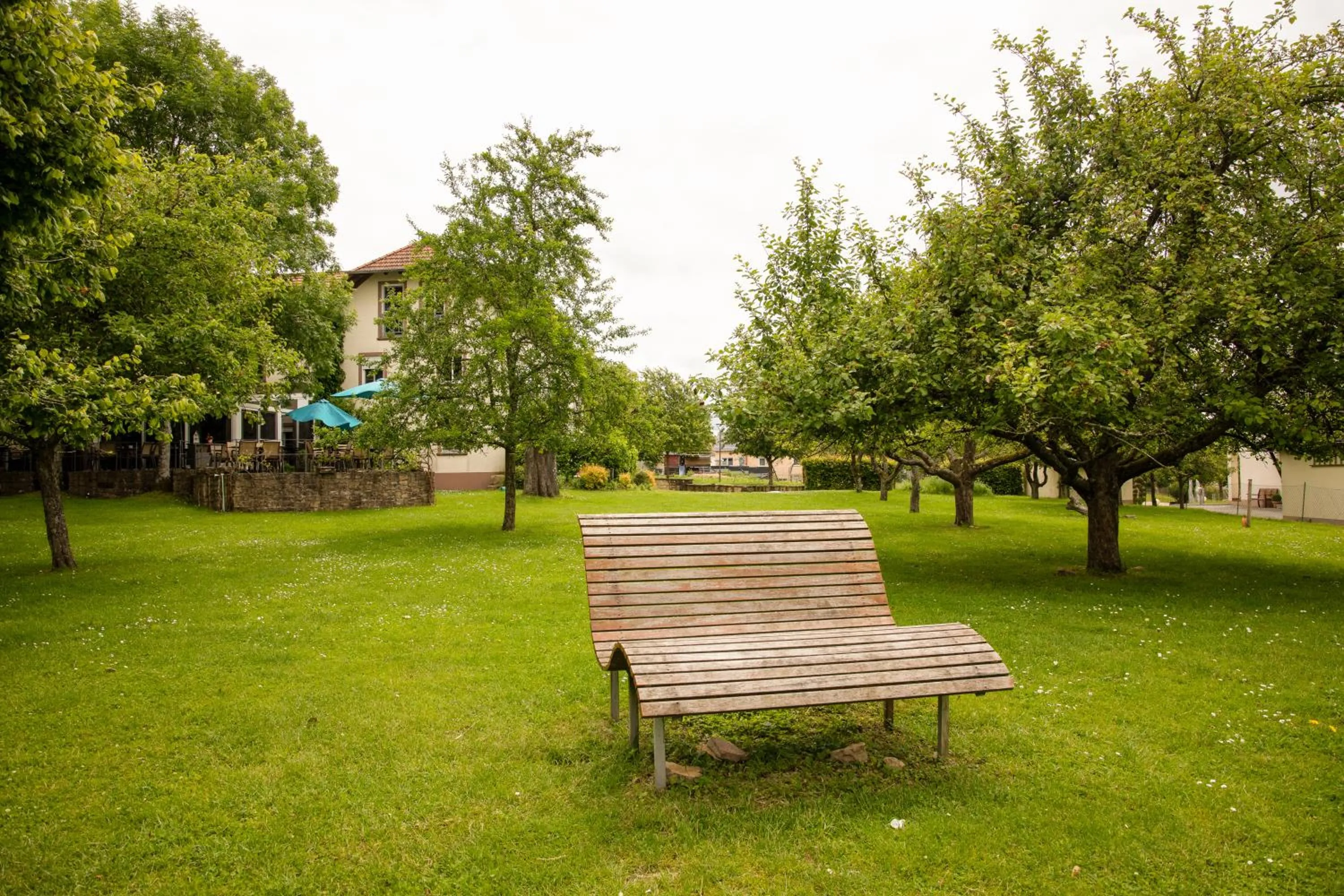 Garden view in Hotel Sonnenhof