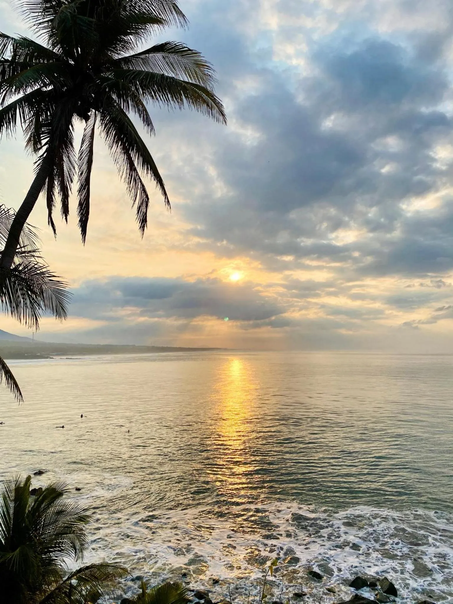 Day in Paradise Surf Hotel