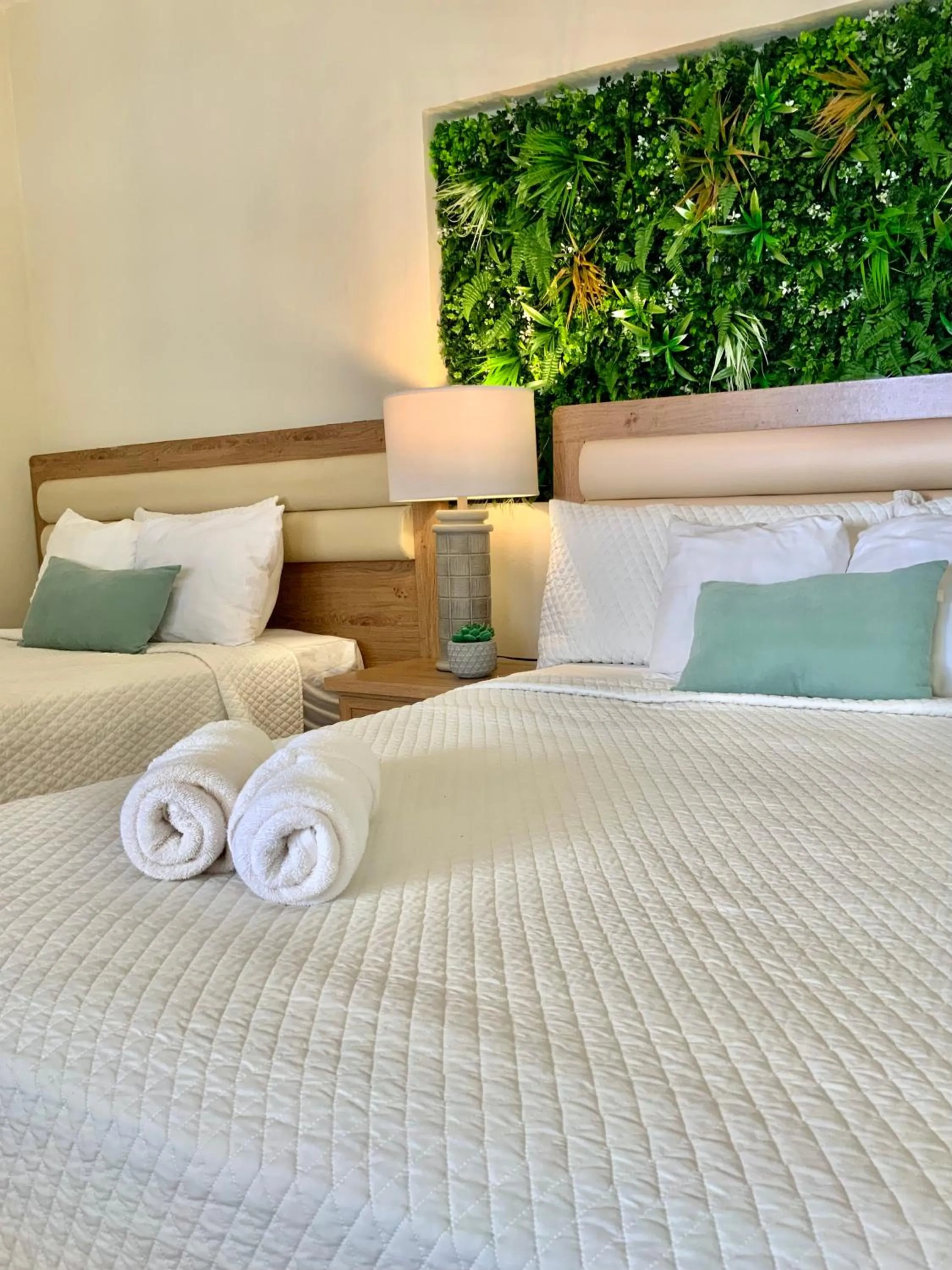 Bed in Paradise Surf Hotel