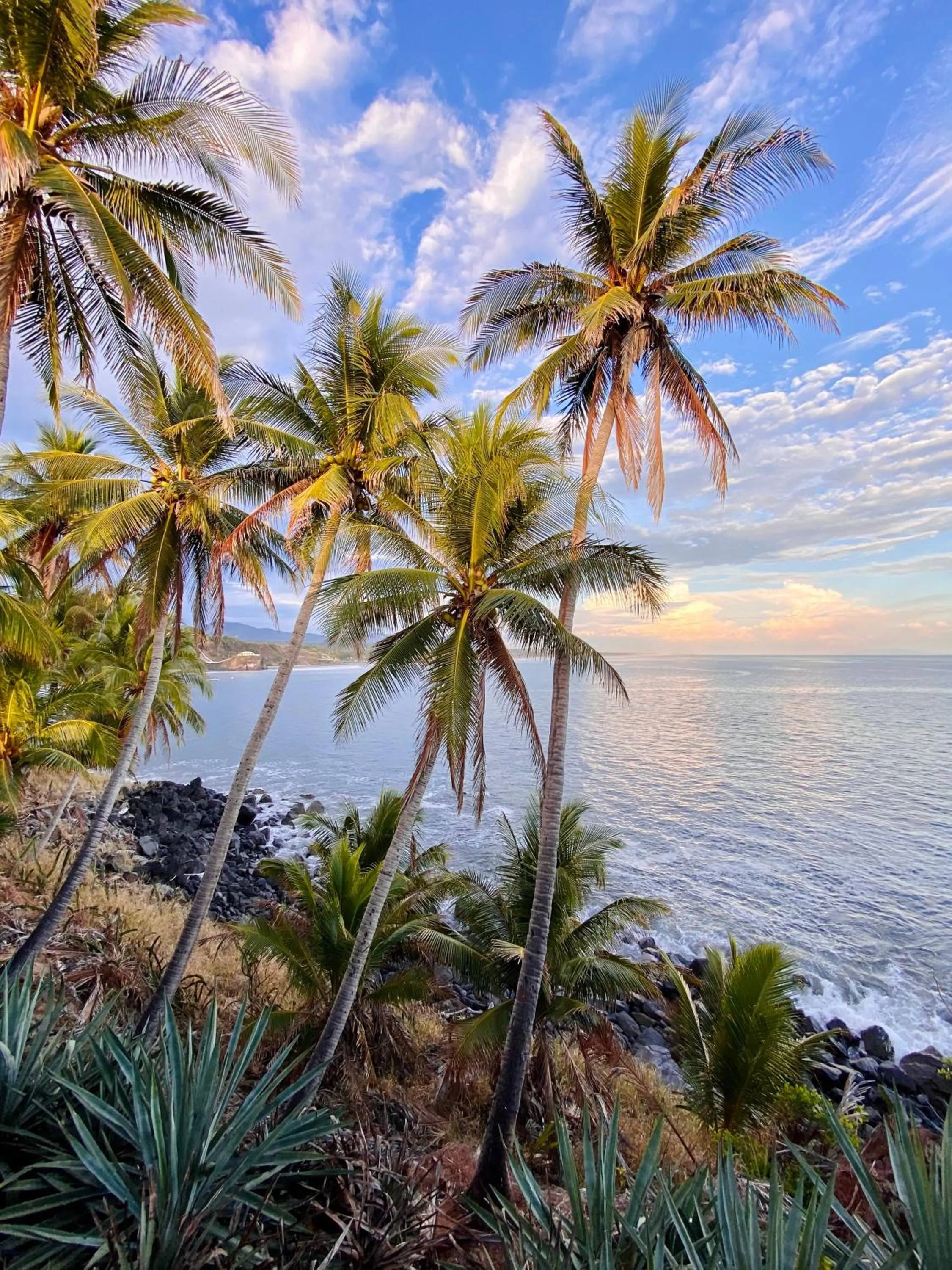 Day in Paradise Surf Hotel