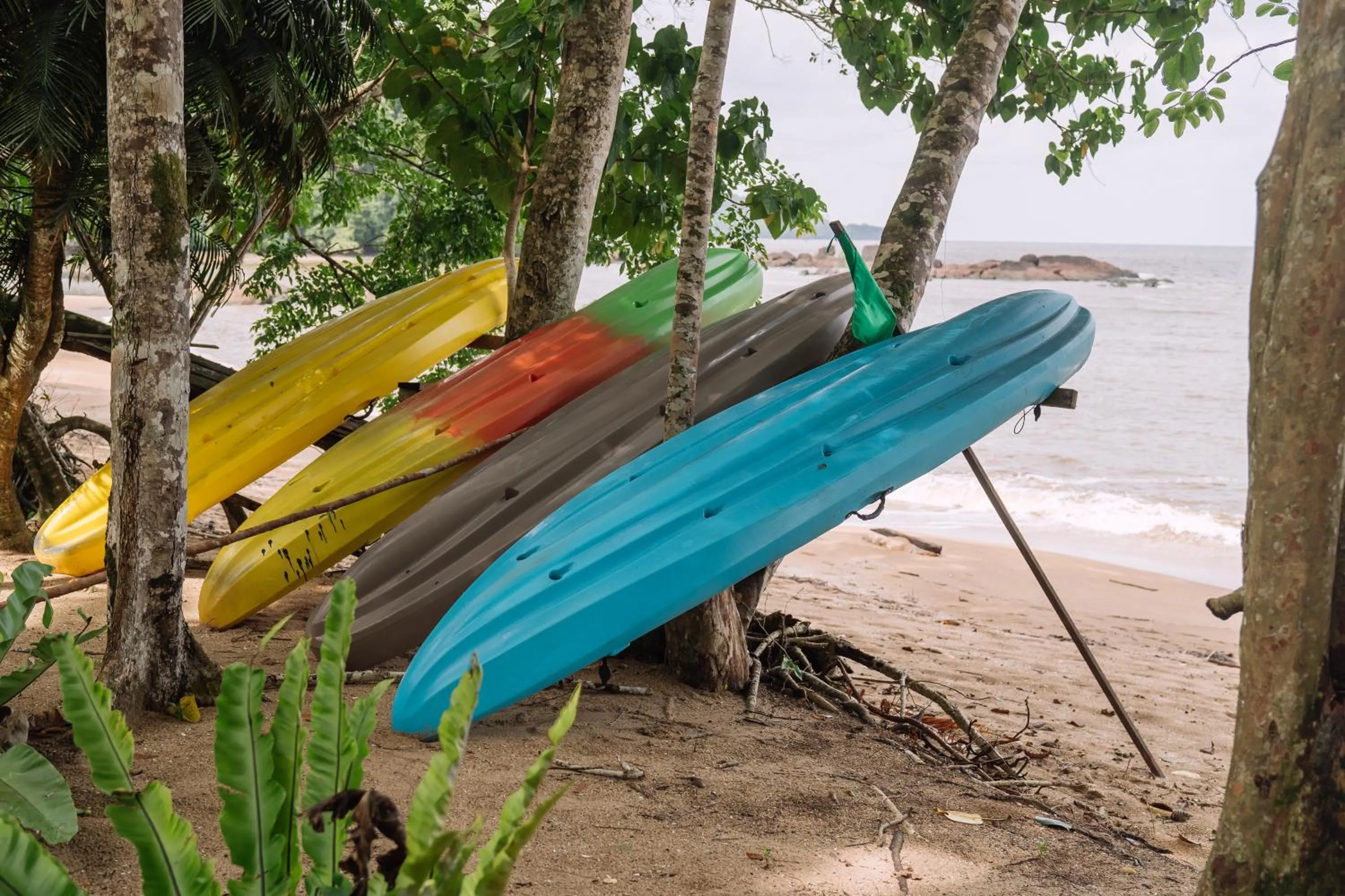 Activities in Roxy Telok Serabang