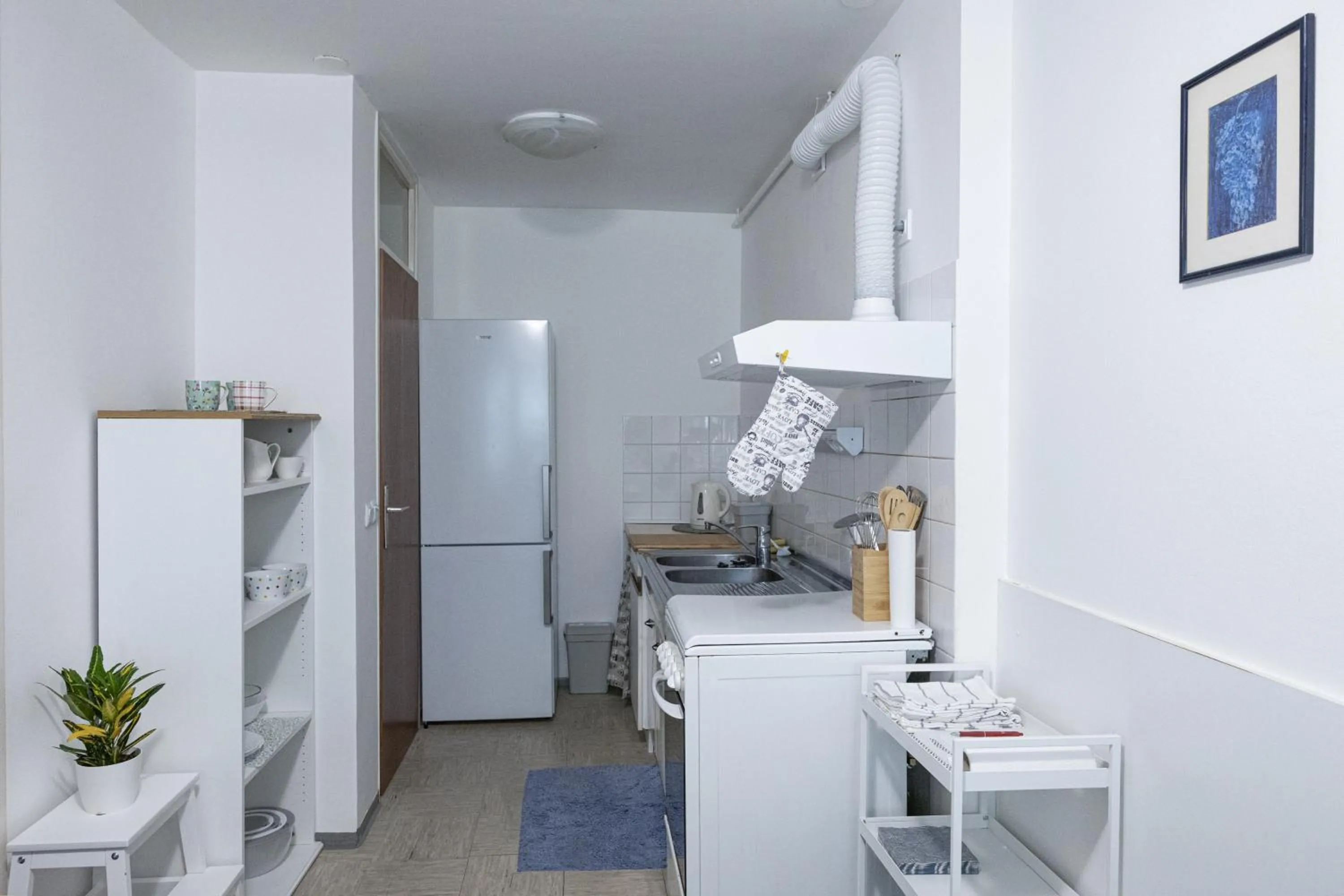 Kitchen or kitchenette in Dragons Dream Hostel