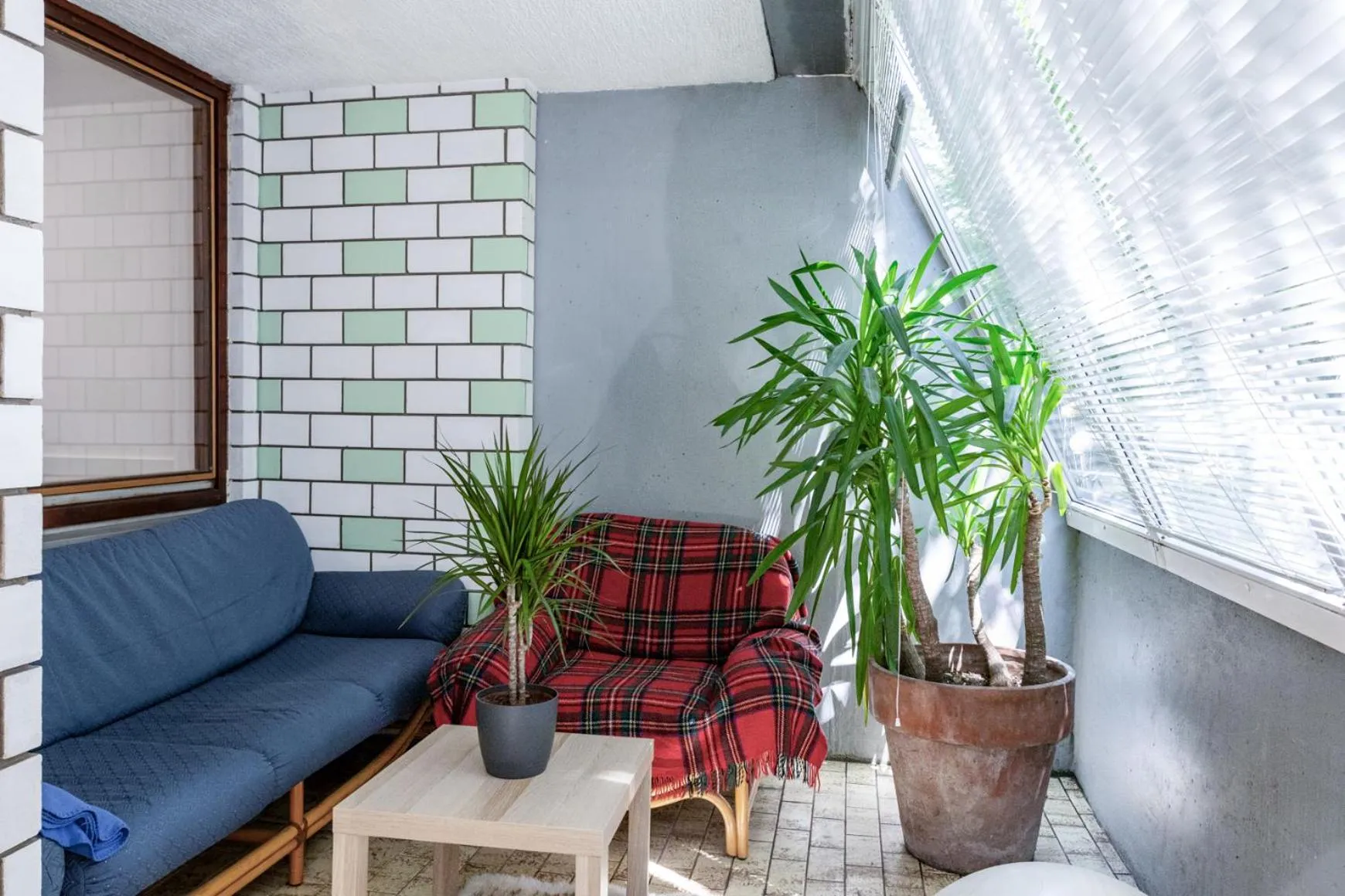 Balcony/Terrace in Dragons Dream Hostel