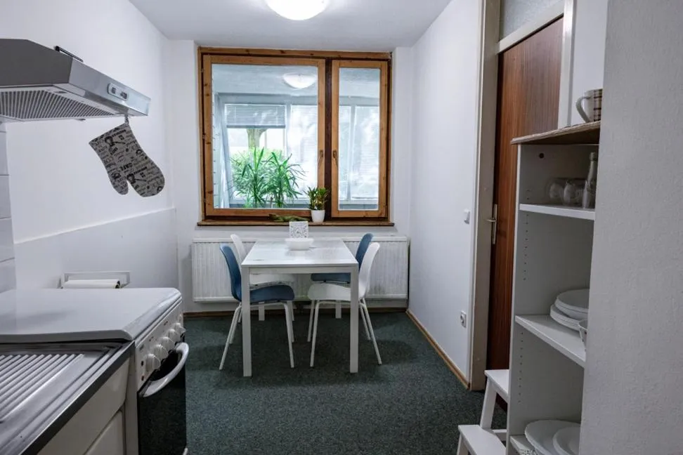 Kitchen or kitchenette in Dragons Dream Hostel