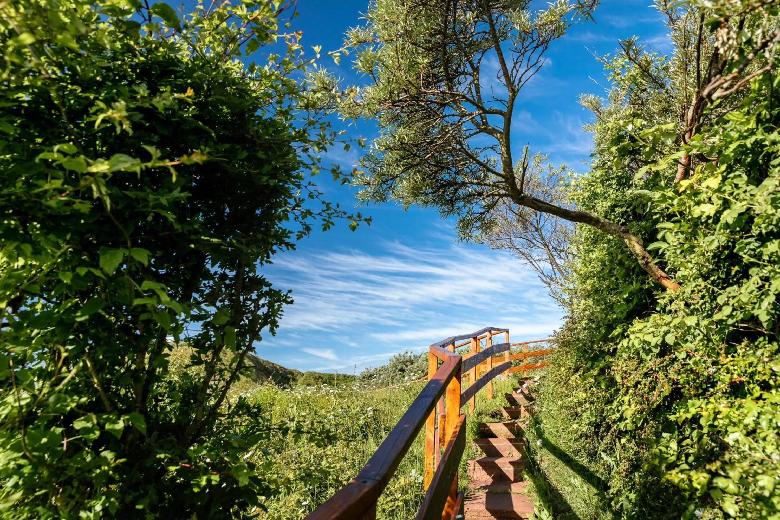 Natural landscape in Hotel Rickmers' Insulaner